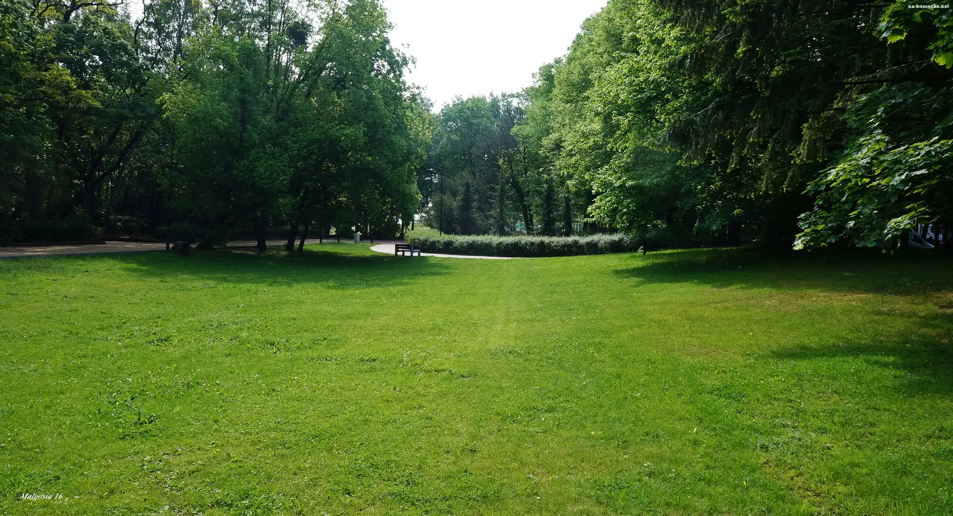 Trawnik, Gdańsk, Polska, Zieleń, Park Jelitkowski, Drzewa