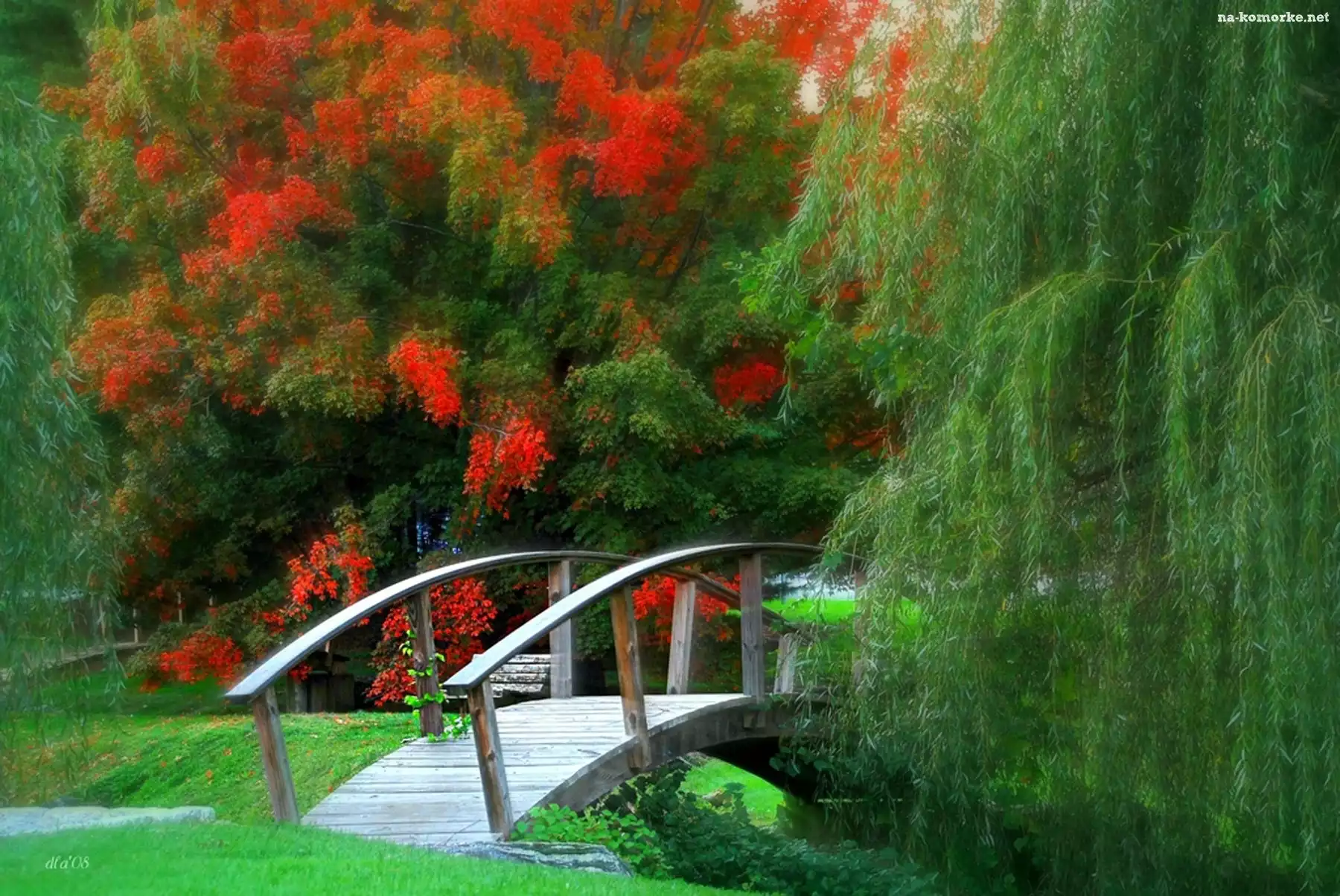 Park, Grafika, Wierzba, Mostek