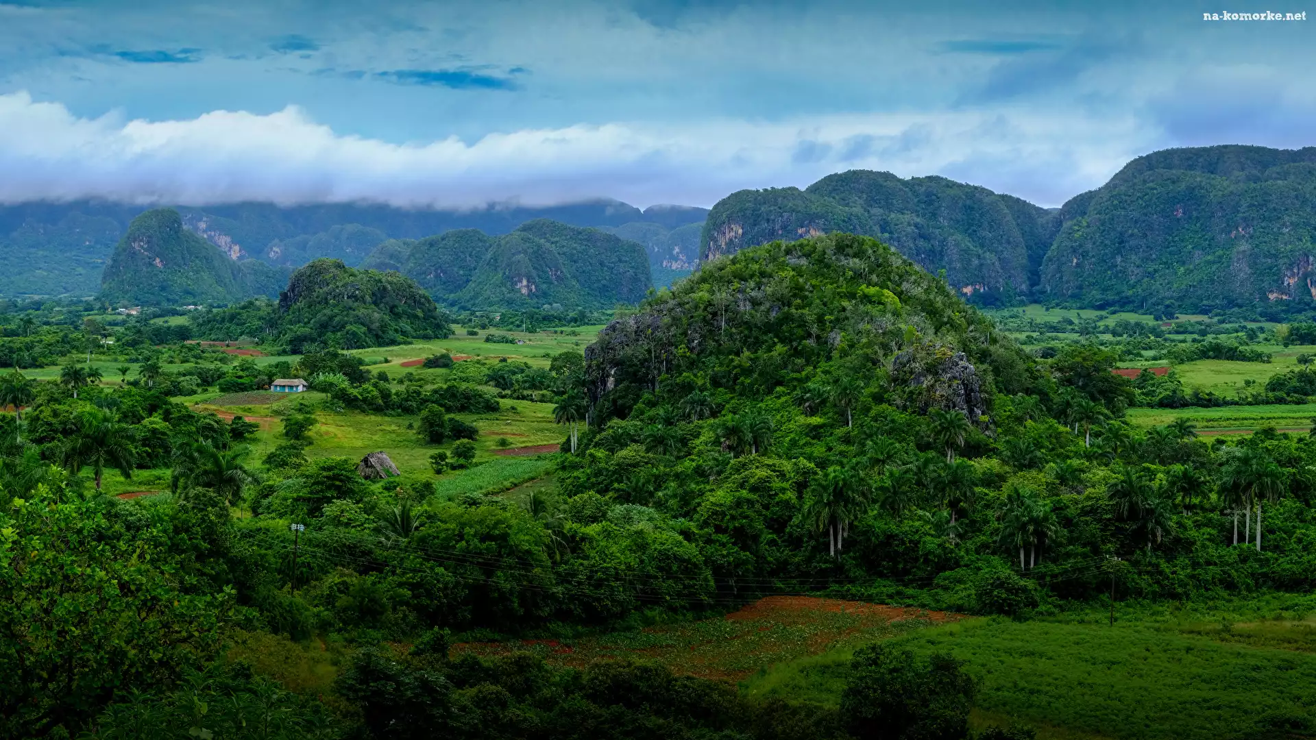 Pasmo Sierra de los Organos, Kuba, Prowincja Pinar del Rio, Dolina Valle de Vinales, Wzgórza