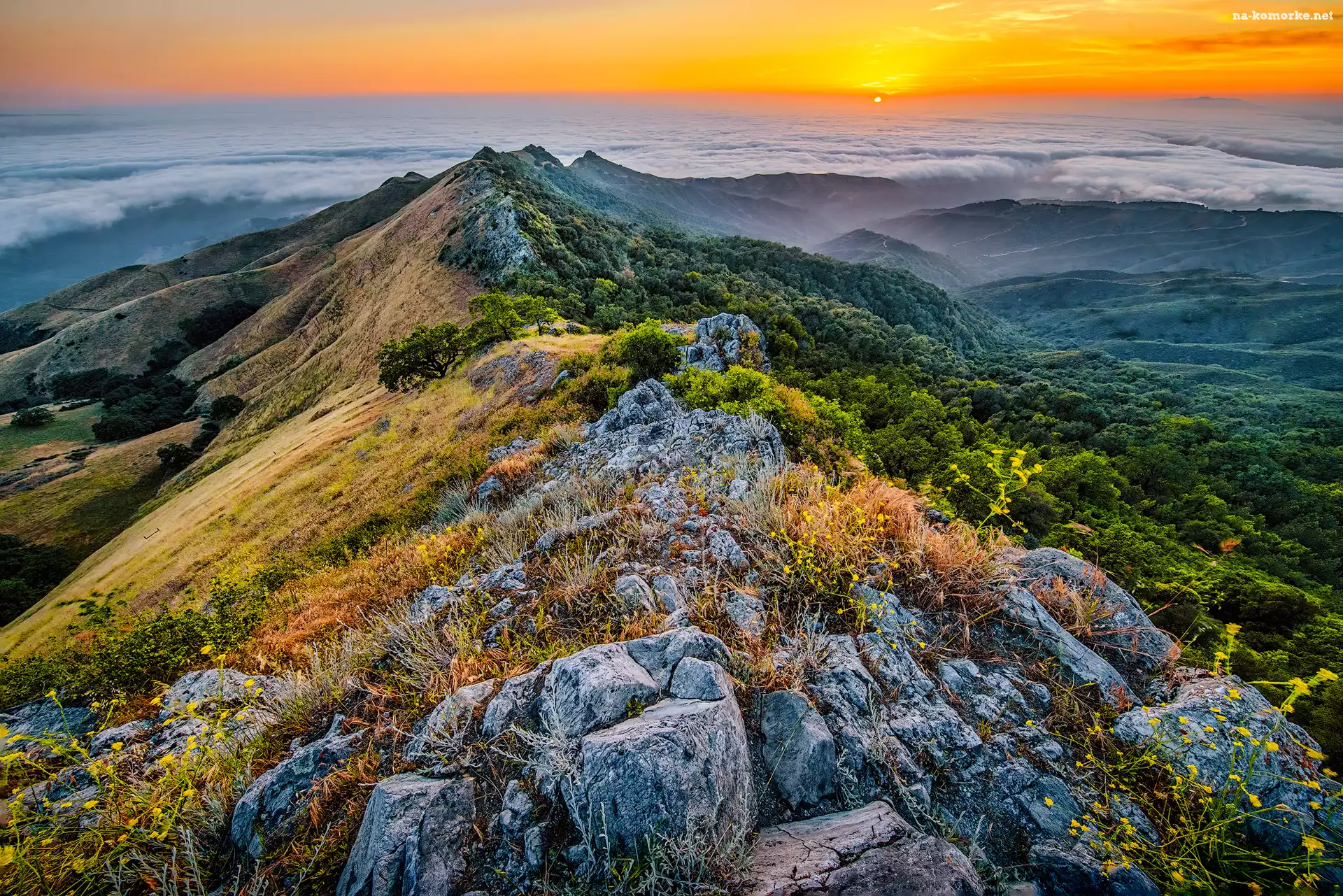 Roślinność, Skały, Zachód słońca, Góry, Park Stanowy Fremont Peak, Kalifornia, Stany Zjednoczone, Lasy, Mgła