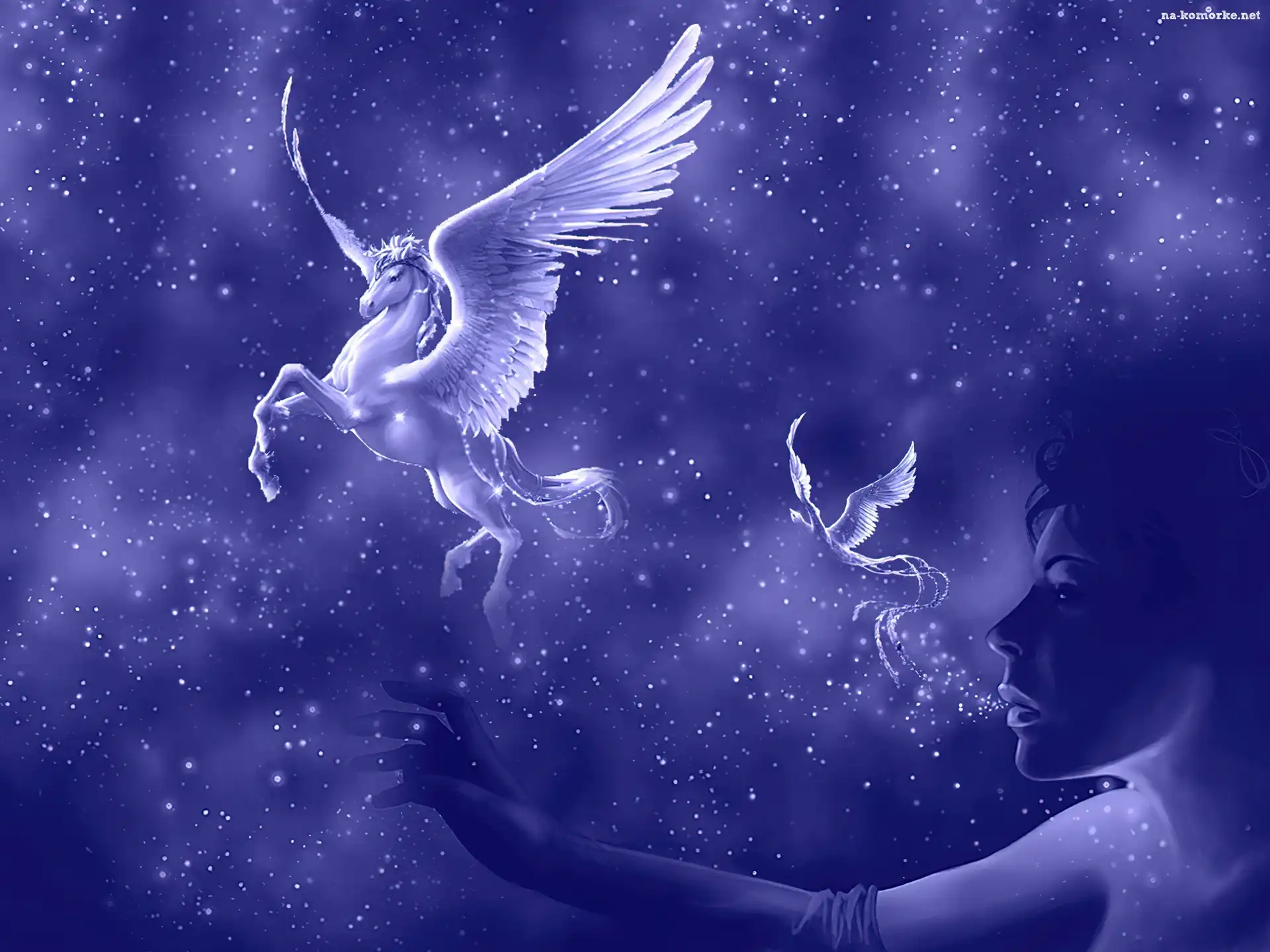 Fantasy, Kobieta, Pegaz