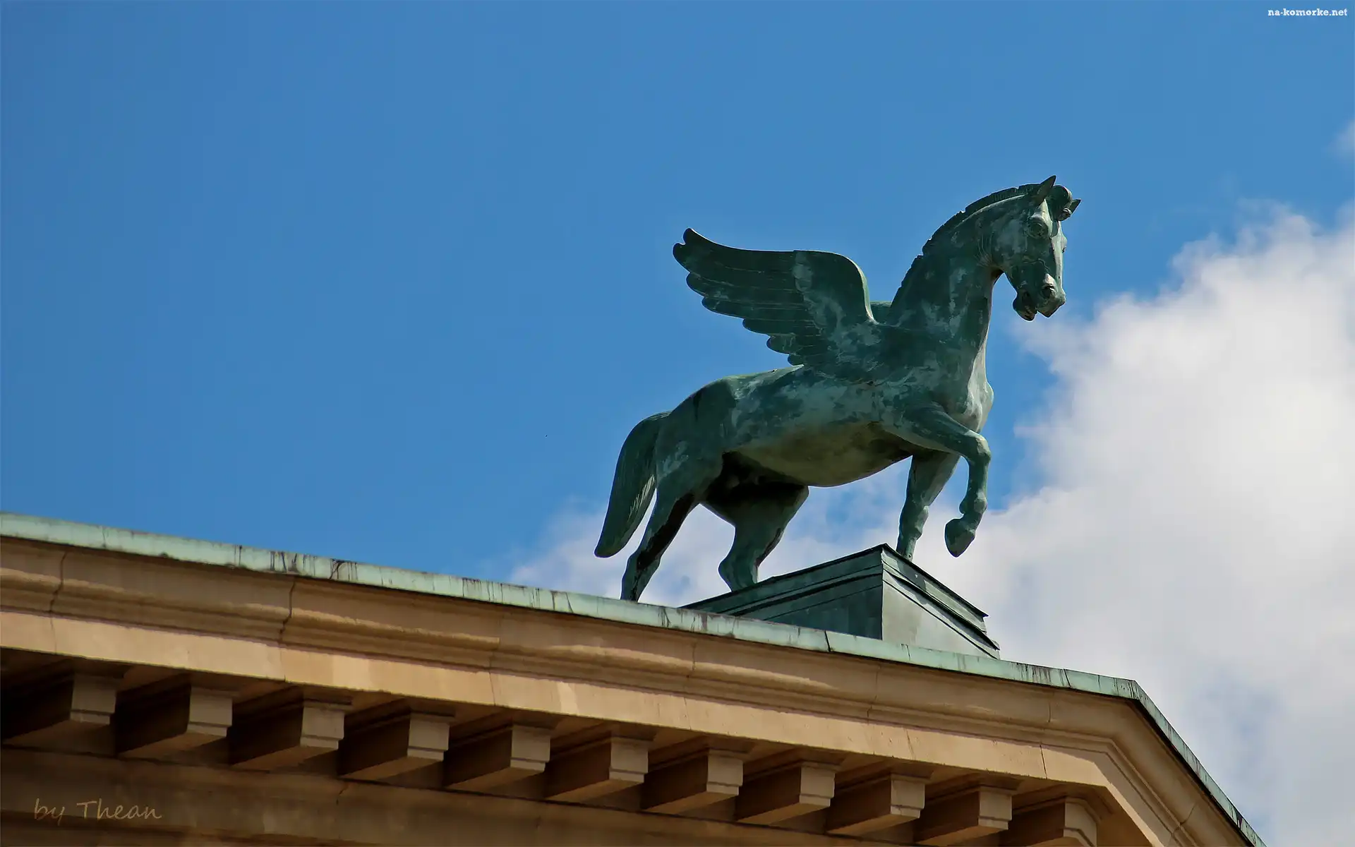 Pegaz, Poznań