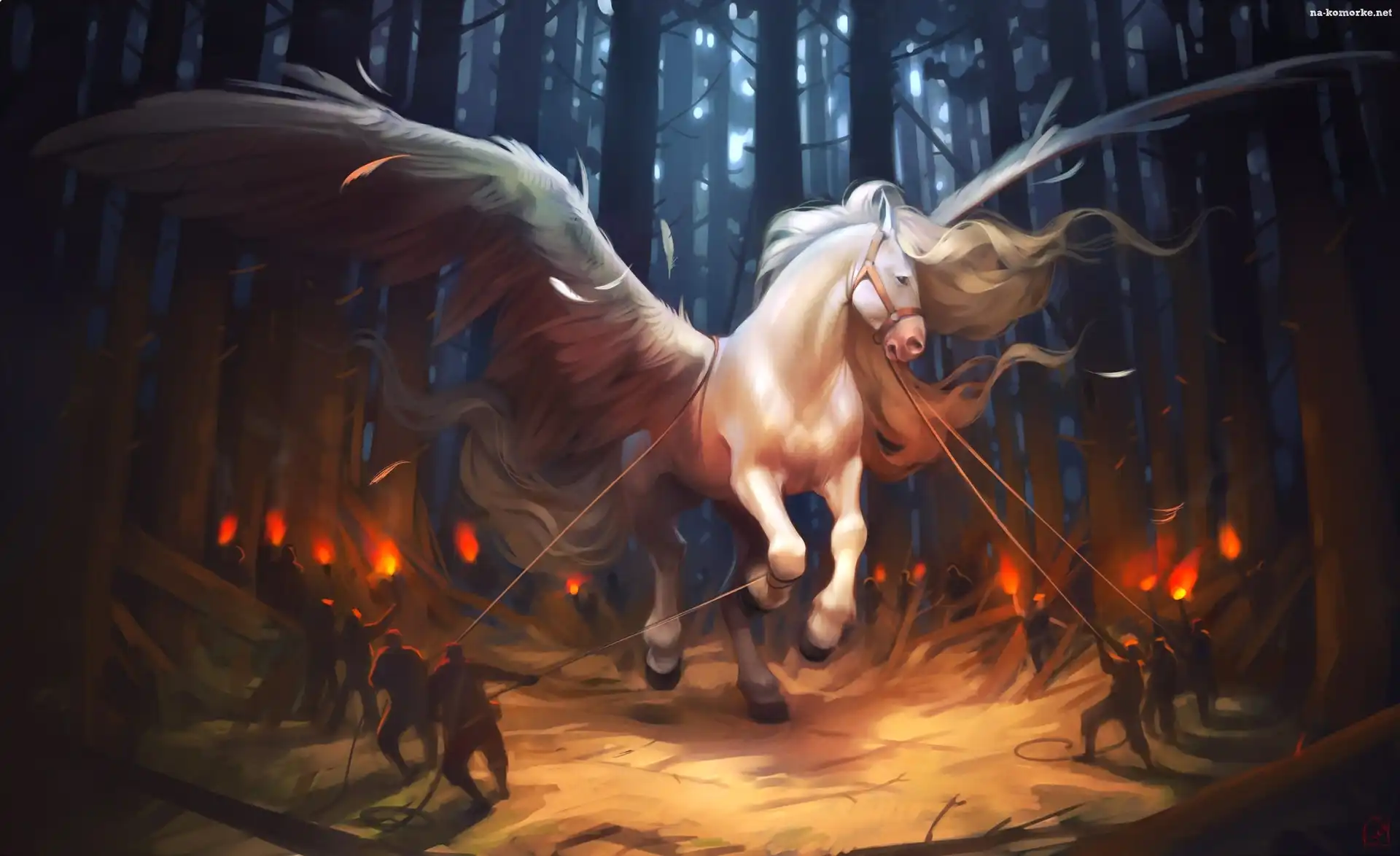 Pegaz, Fantasy, Skrzydlaty, Koń