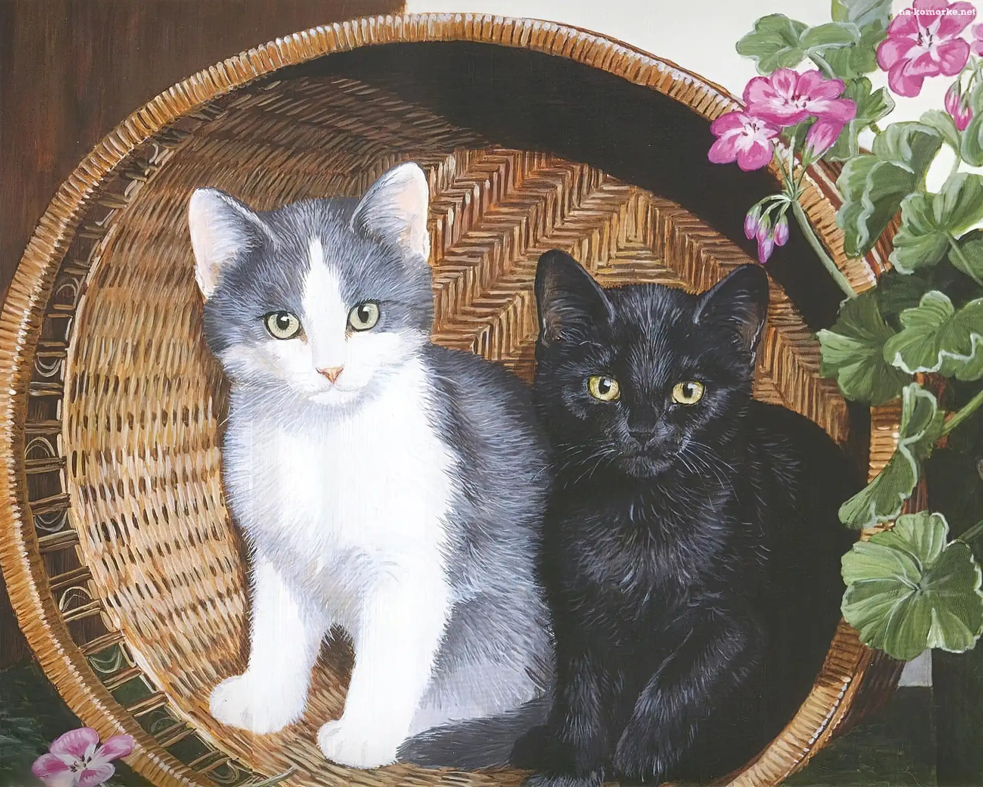 Pelargonie, Dwa, Koty, Kosz, Kwiaty