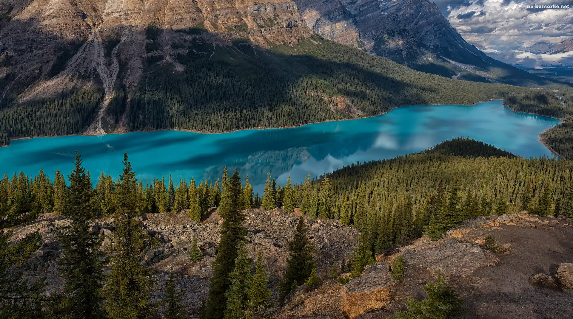 Peyto Lake, Park Narodowy Banff, Góry, Kanada, Drzewa, Jezioro, Skały