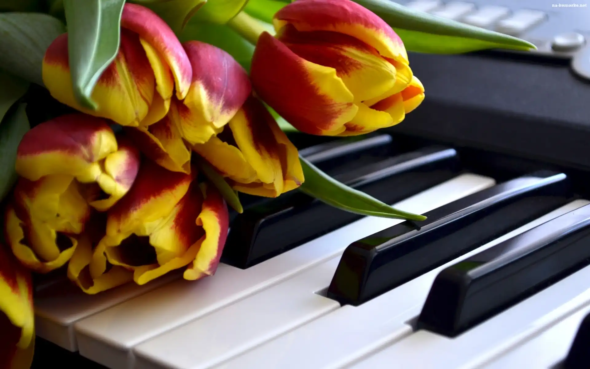 Pianino, Żółto, Czerwone, Tulipany, Klawisze