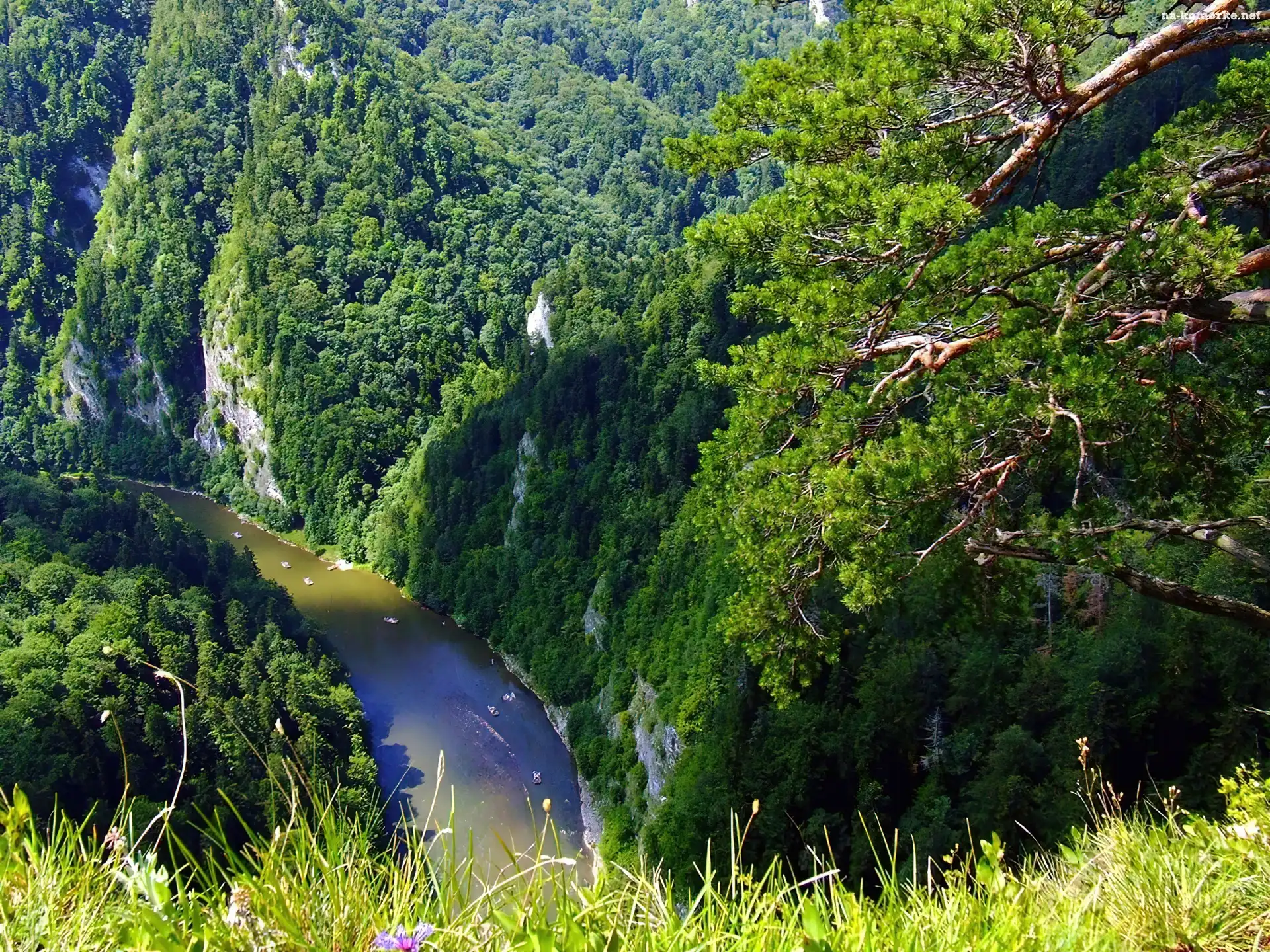 Pieniny, Spływ, Rzeka, Dunajec