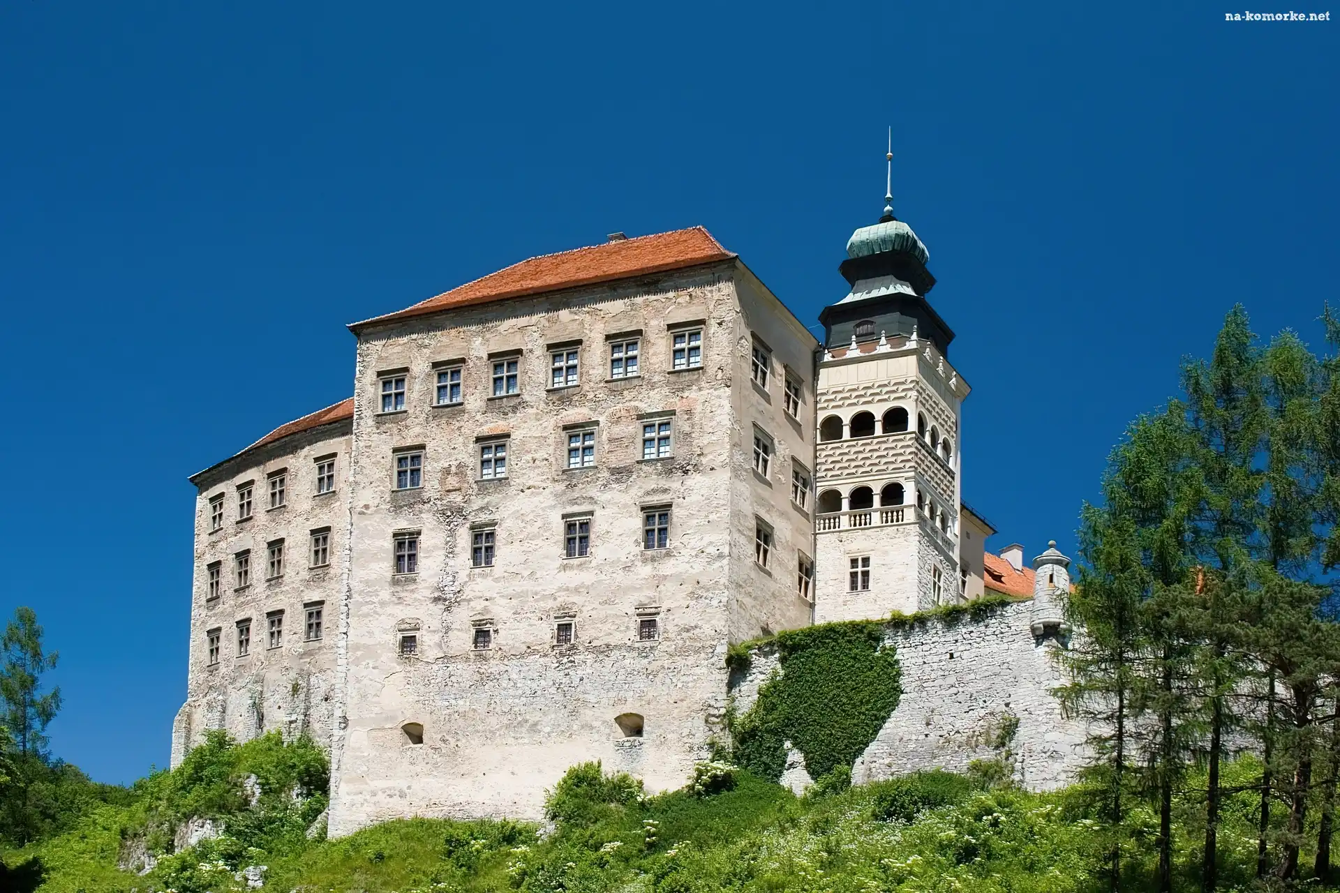Zamek, Pieskowa, Skała