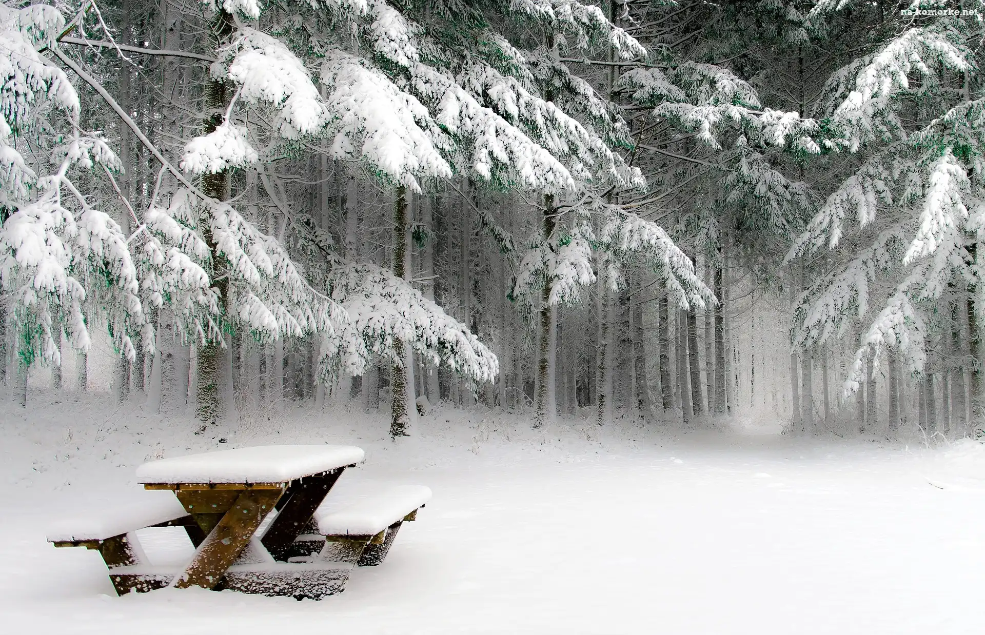 Zima, Śnieg, Ławka piknikowa, Las, Drzewa
