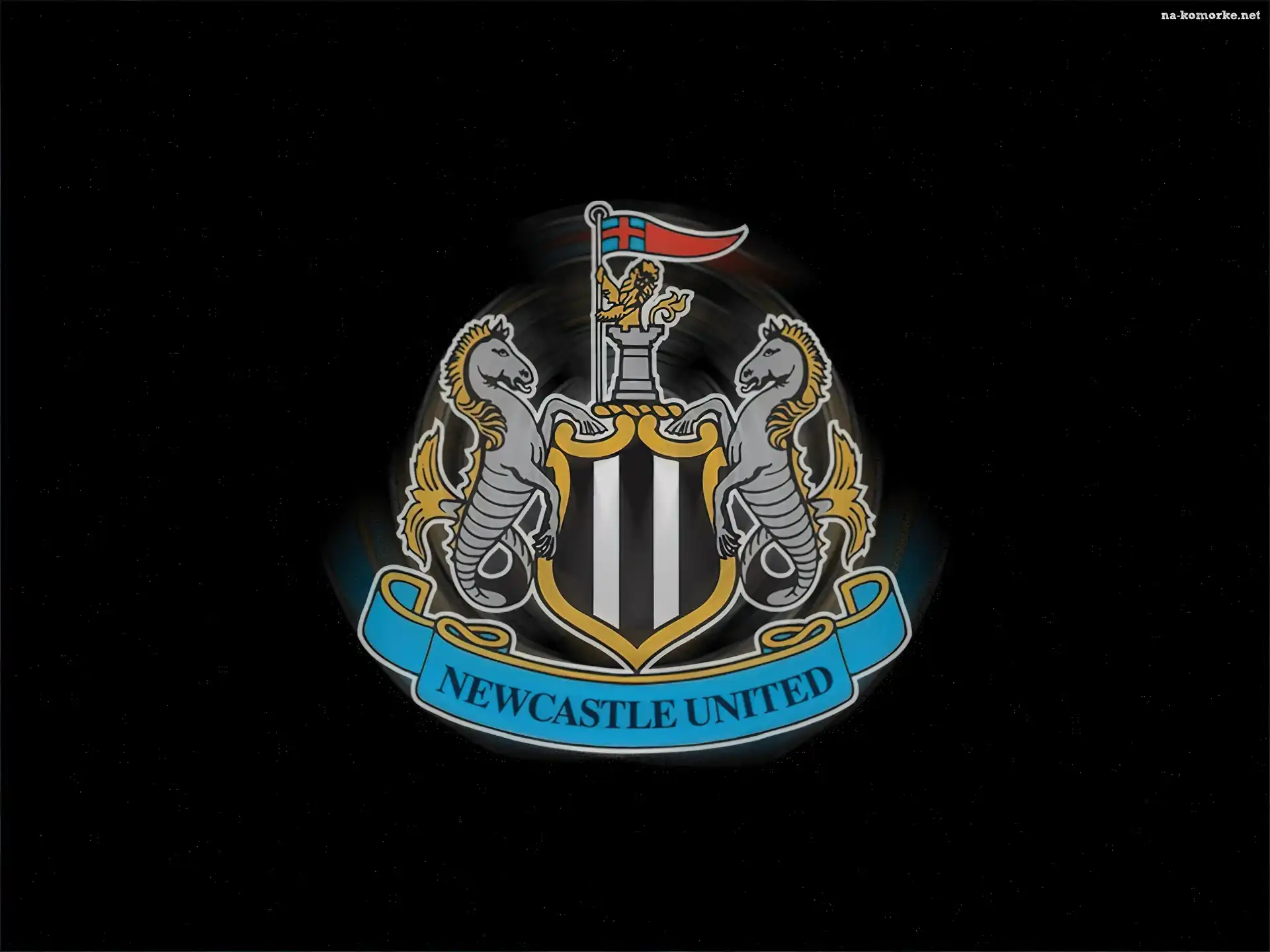 Piłka nożna, znaczek, Newcastle United