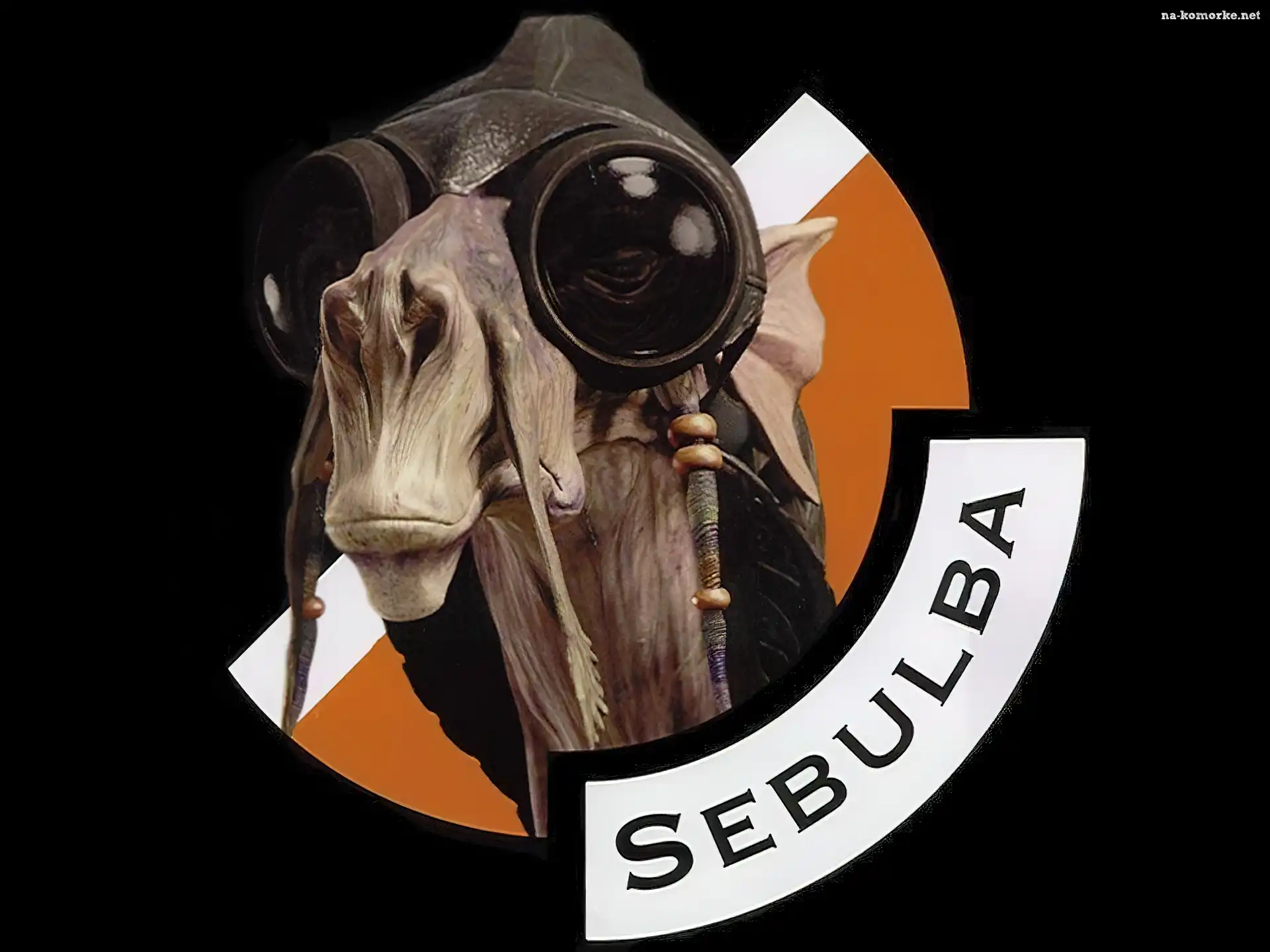 pilota, Star Wars, wielbłąd, głowa, czapka