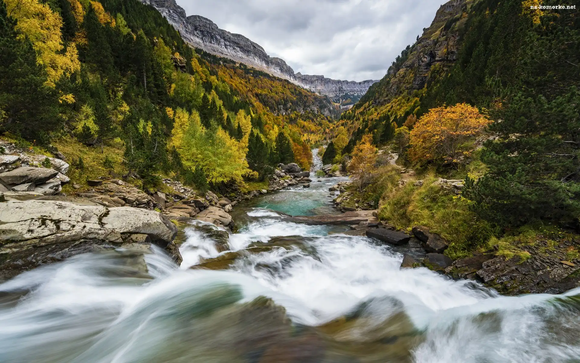Drzewa, Rzeka, Pireneje, Kamienie, Hiszpania, Arazas River, Prowincja Huesca, Góry, Jesień