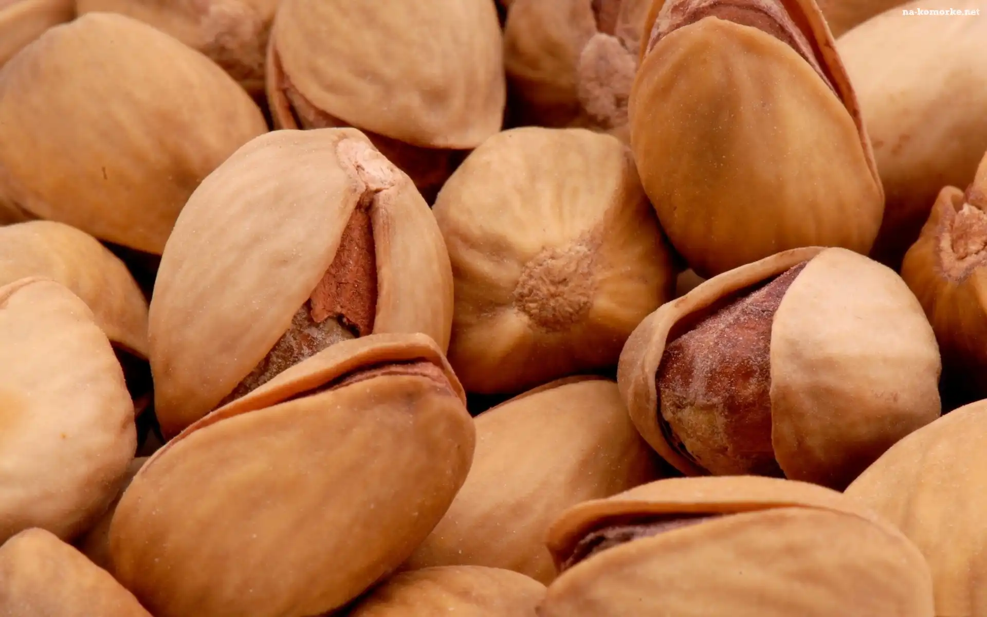 Pistacje