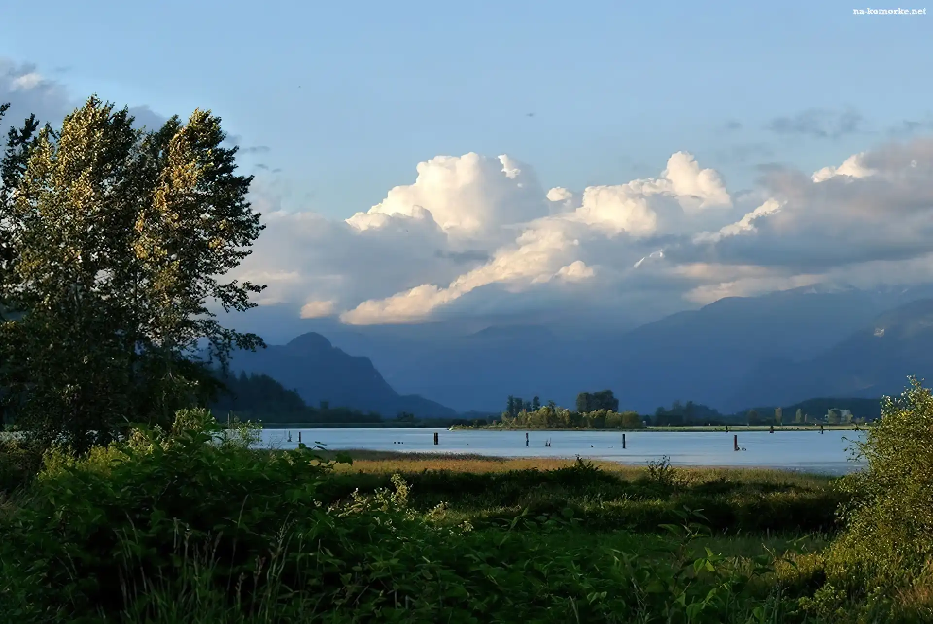 Rzeka, Pitt River