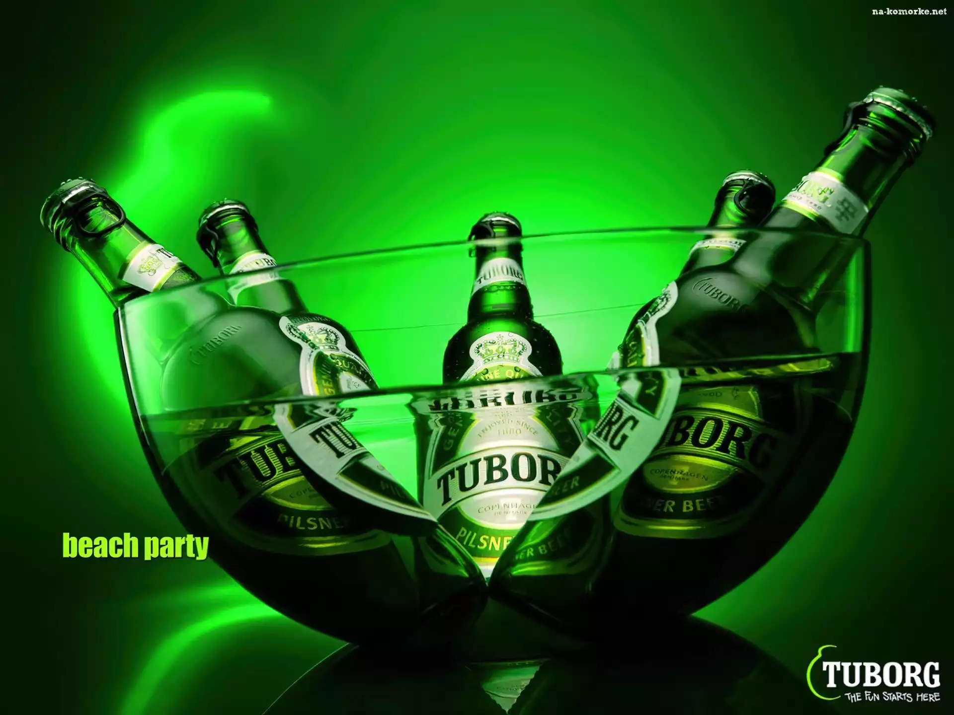 Woda, Miska, Piwo, Tuborg