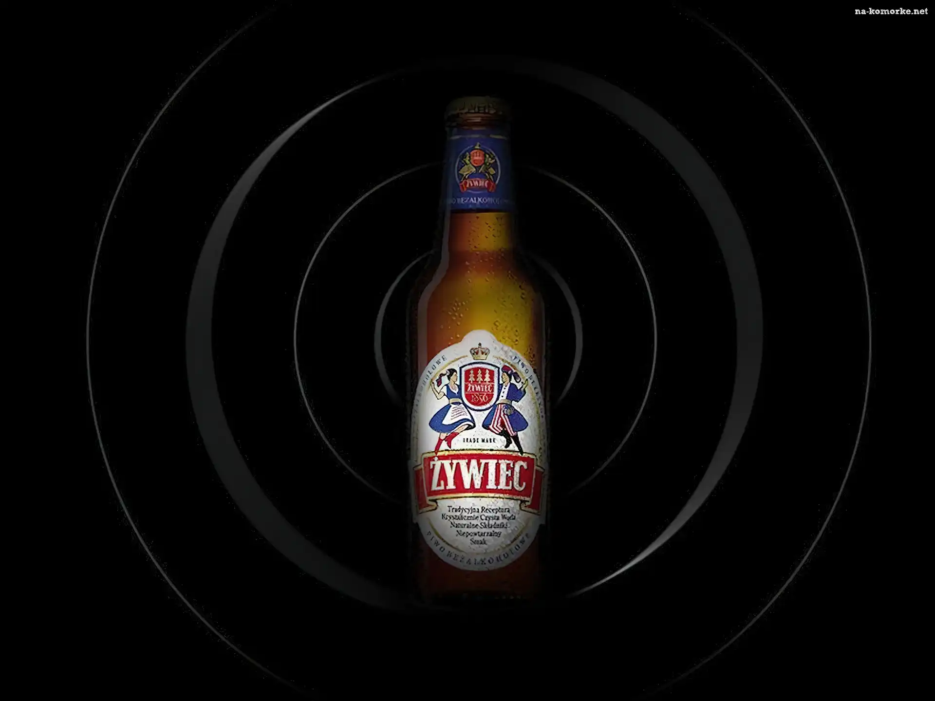 Piwo, Piwo Żywiec, butelka