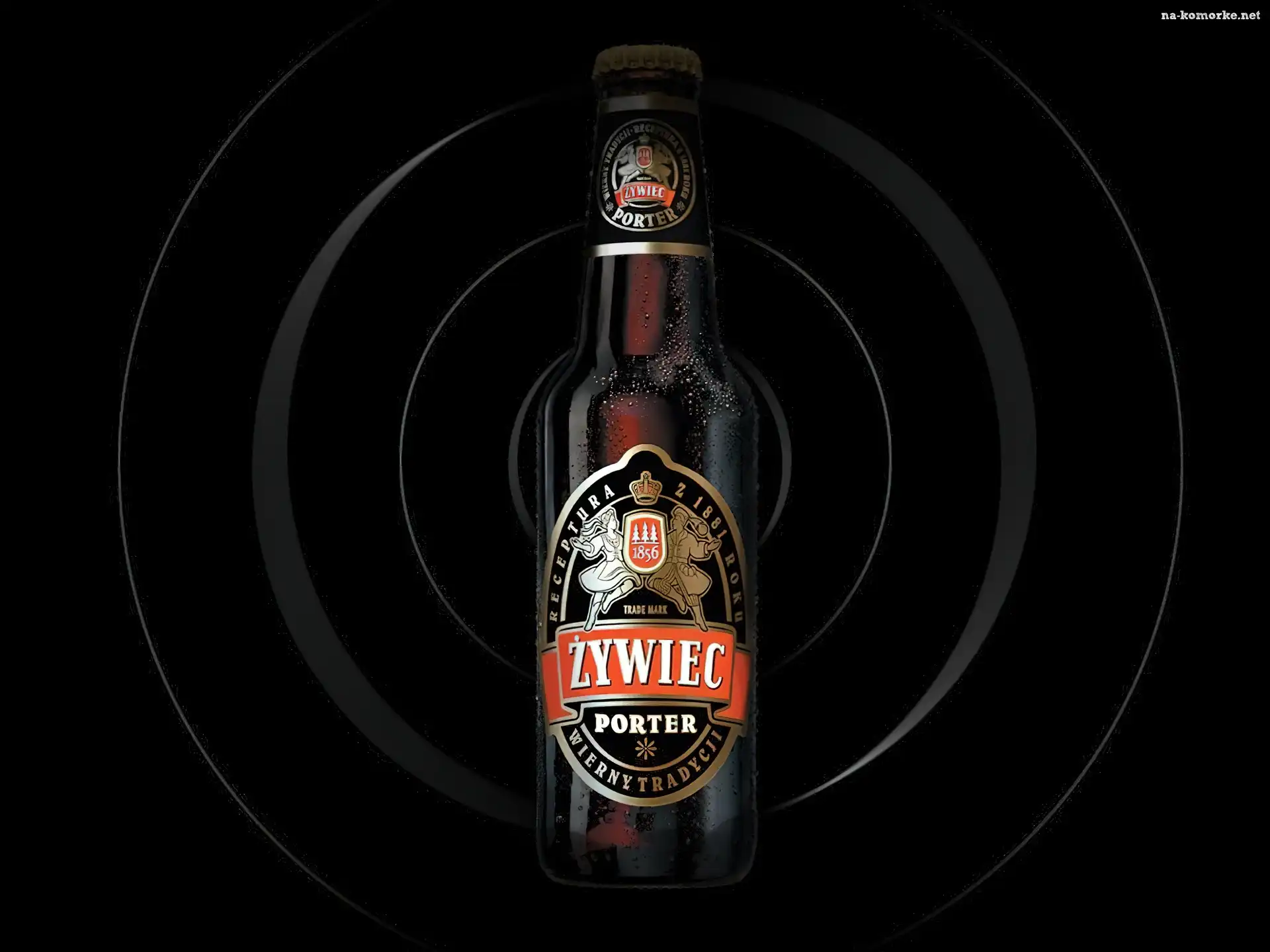 Piwo, Piwo Żywiec, porter