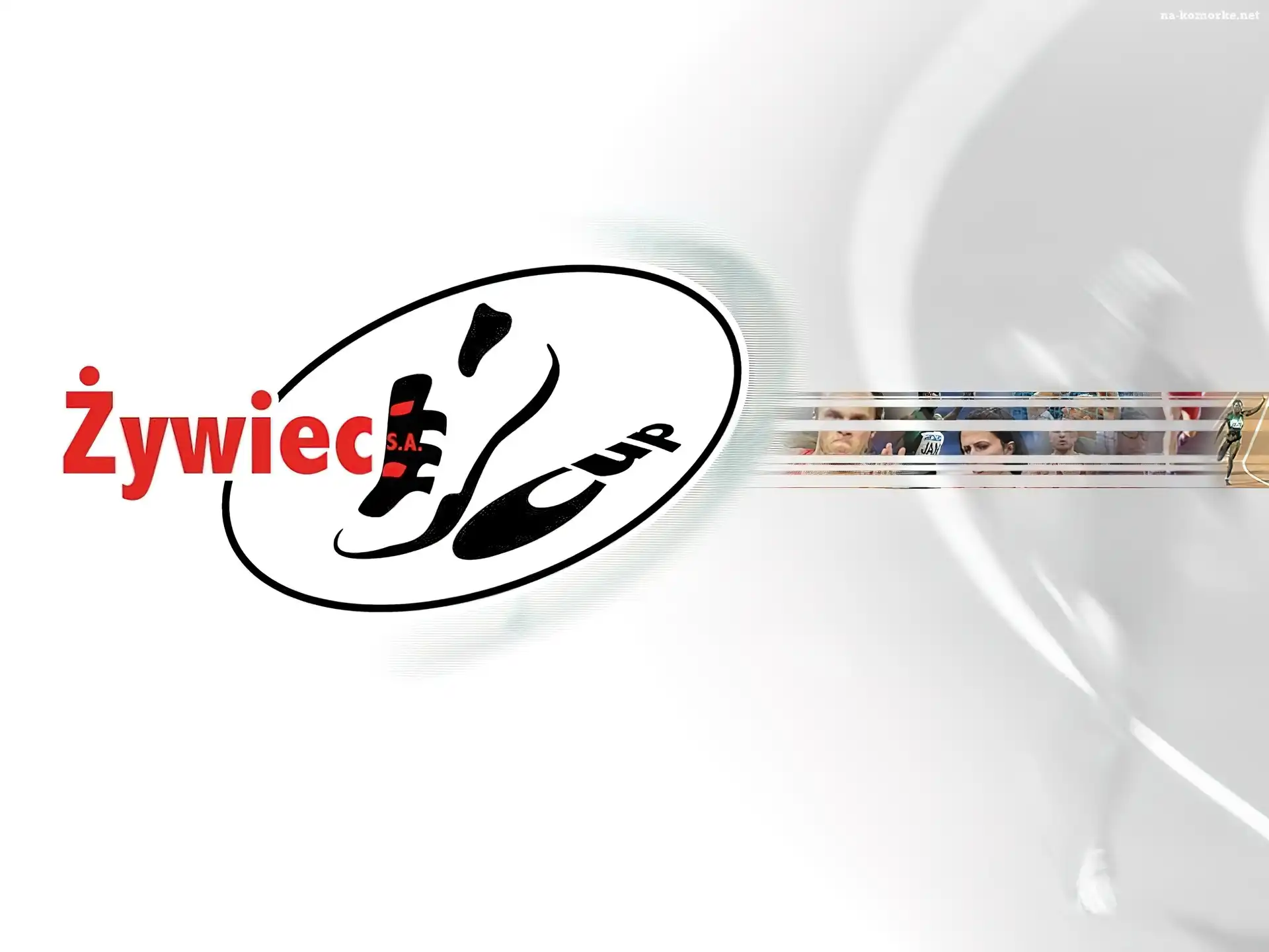 Piwo, Żywiec