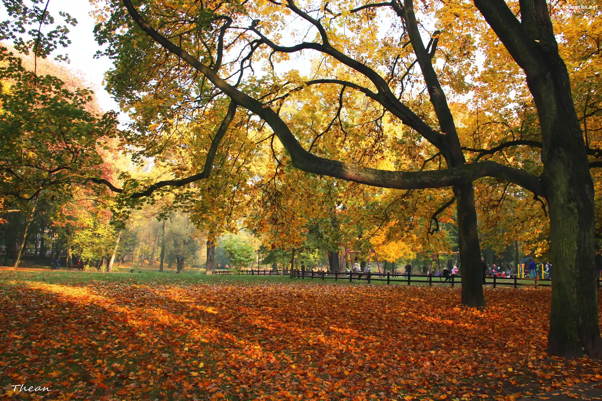 Plac, Park, Zabaw, Jesień