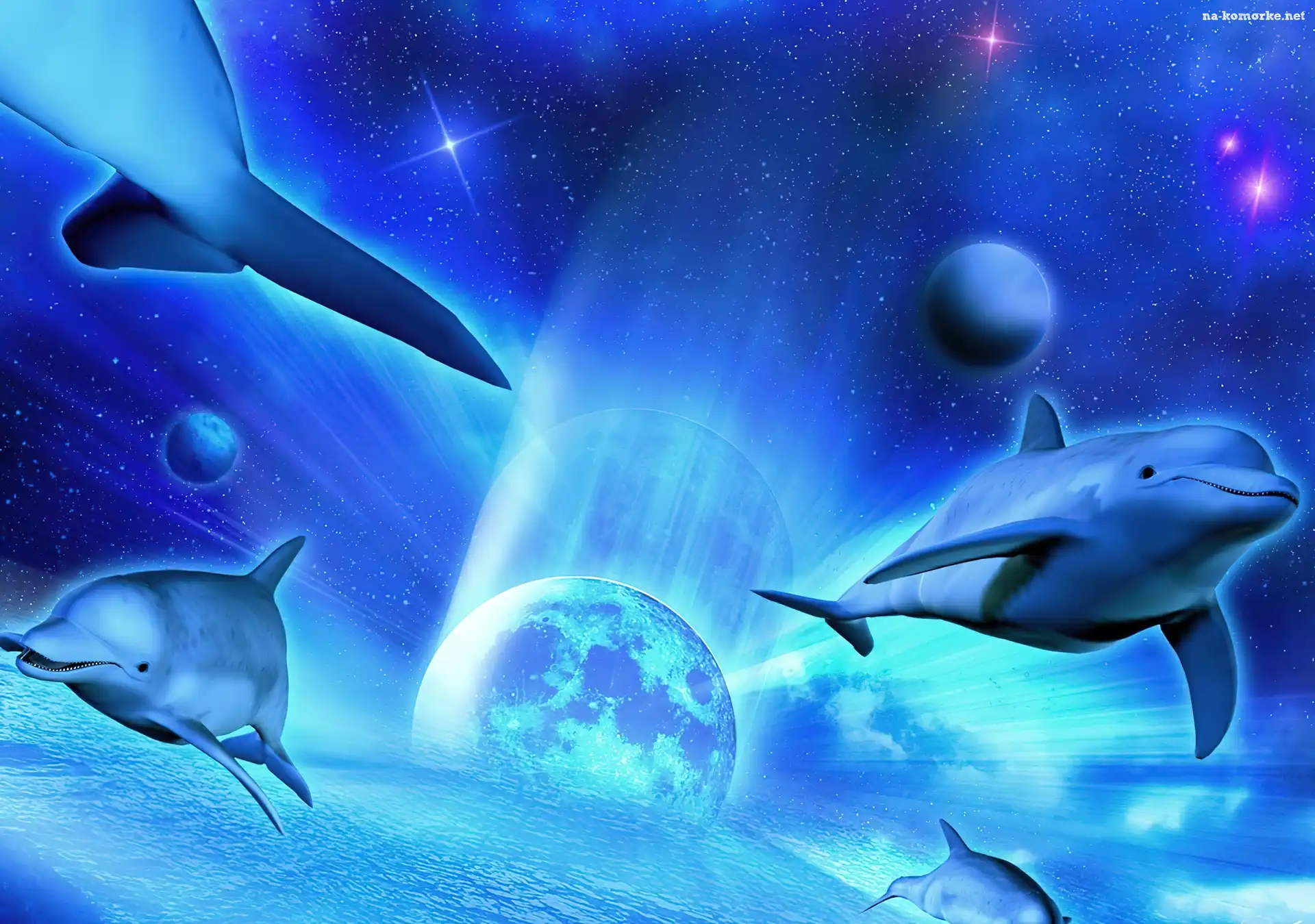 Delfiny, Fantasy, Planeta