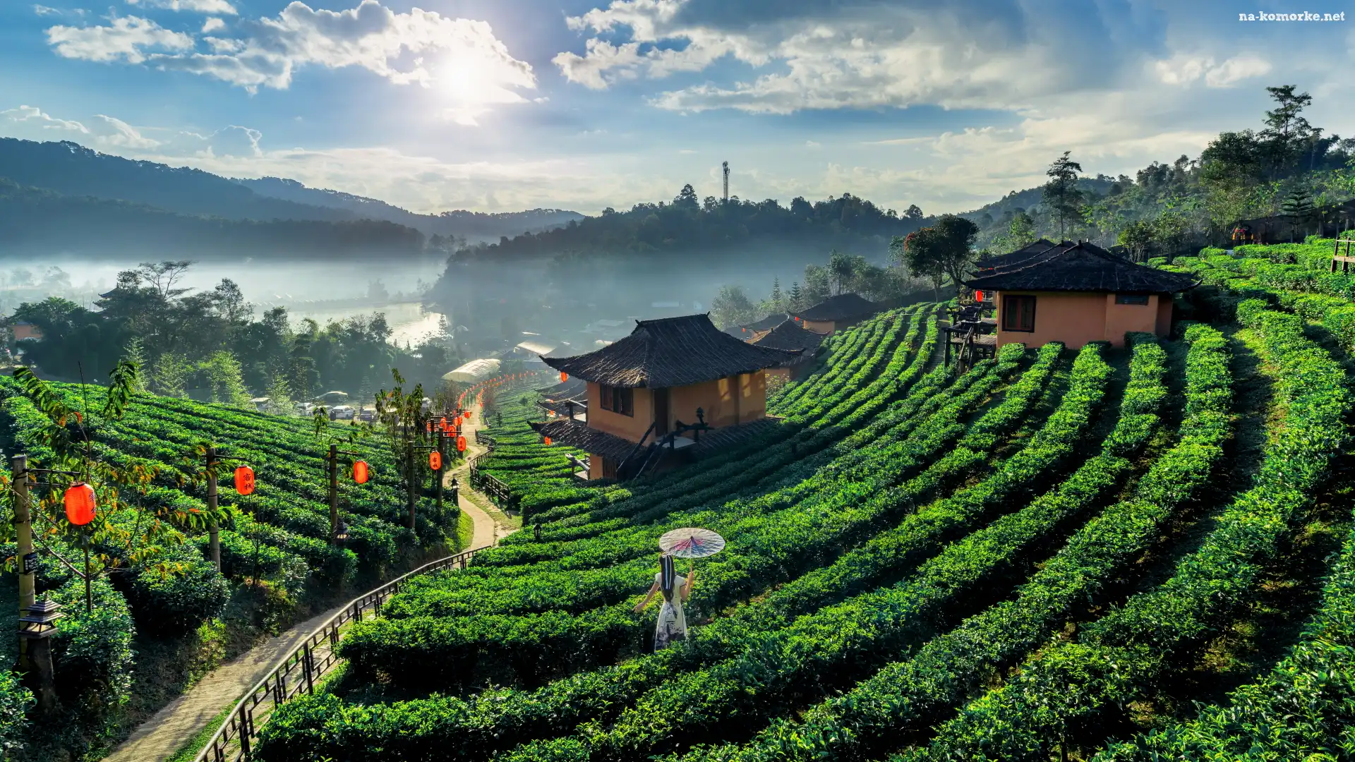 Plantacja, Domy, Tajlandia, Ścieżka, Prowincja Mae Hong Son, Ban Rak Thai, Herbaty, Kobieta, Parasolka, Wioska