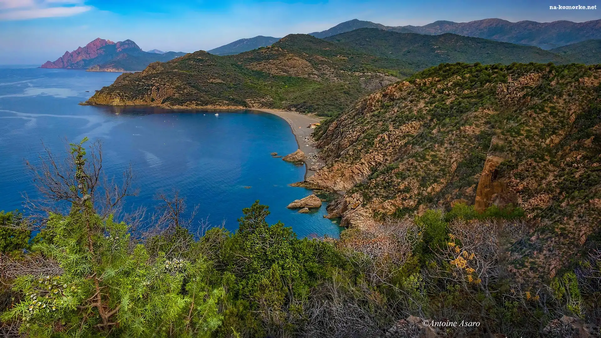 Serriera, Krzewy, Francja, Golfe de Porto, Zatoka, Morze, Góry, Plaża Bussaglia, Korsyka