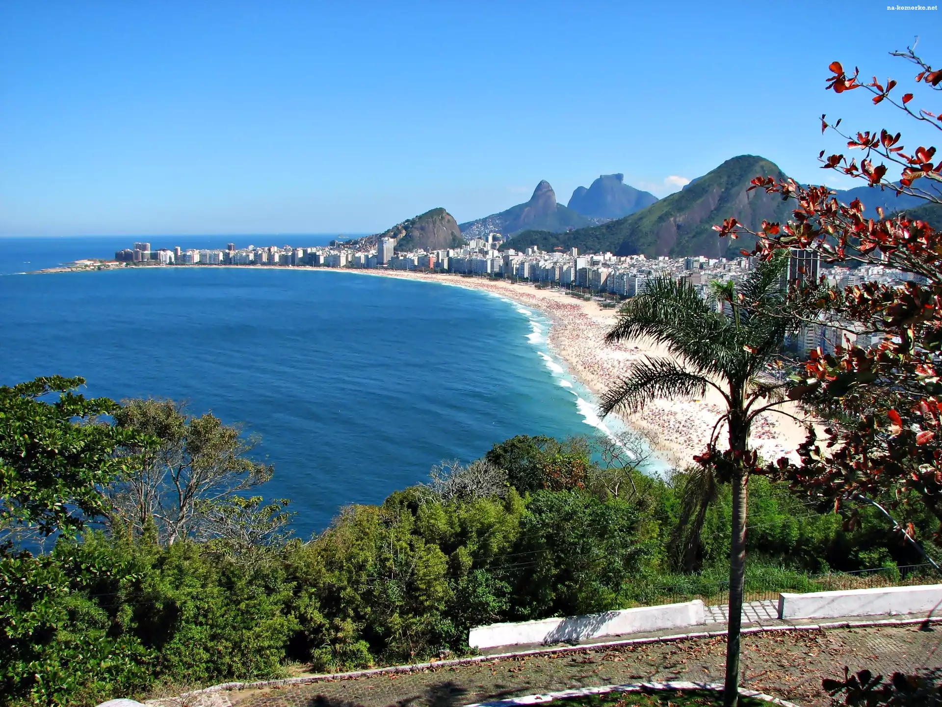 Plaża, Rio De Janeiro, Morze, Drzewa