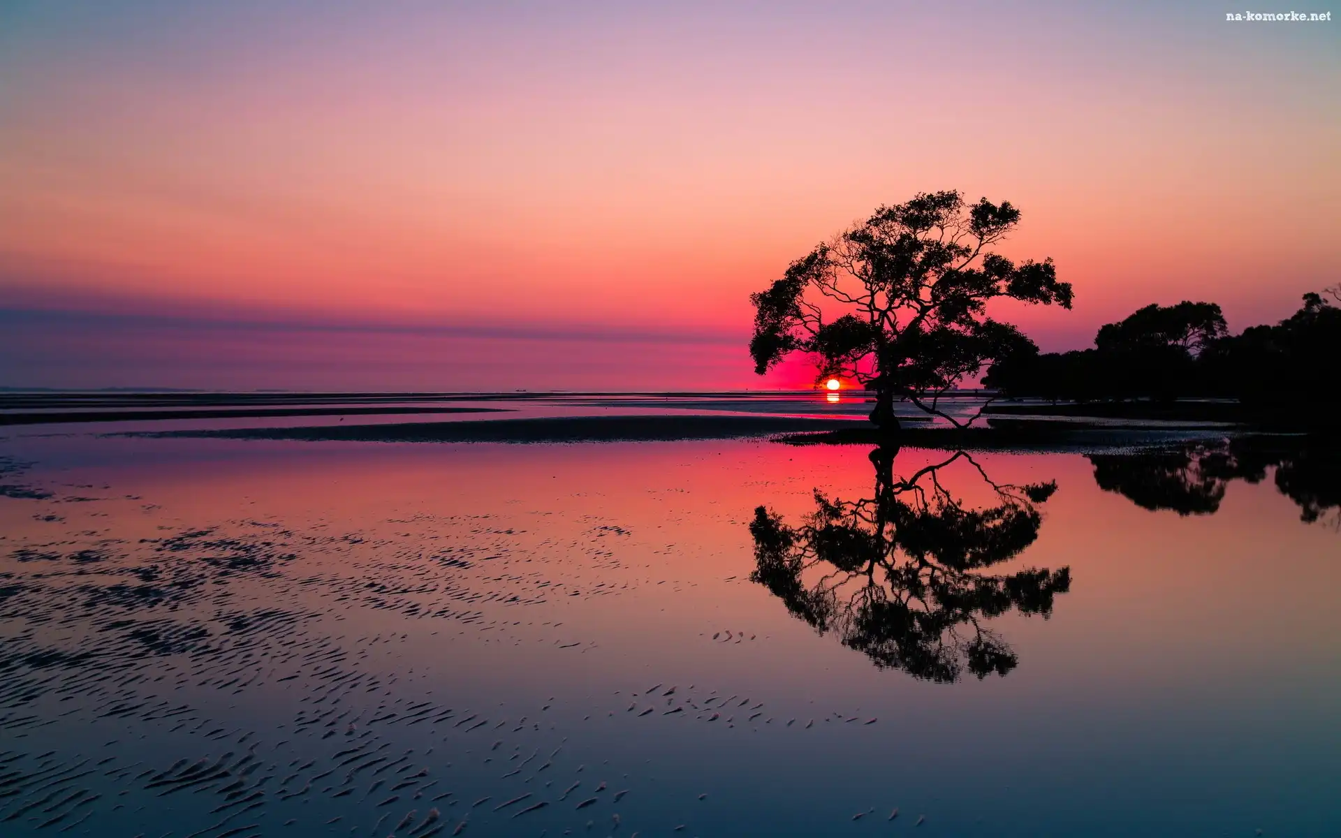 Plaża, Drzewa, Zachód, Słońca