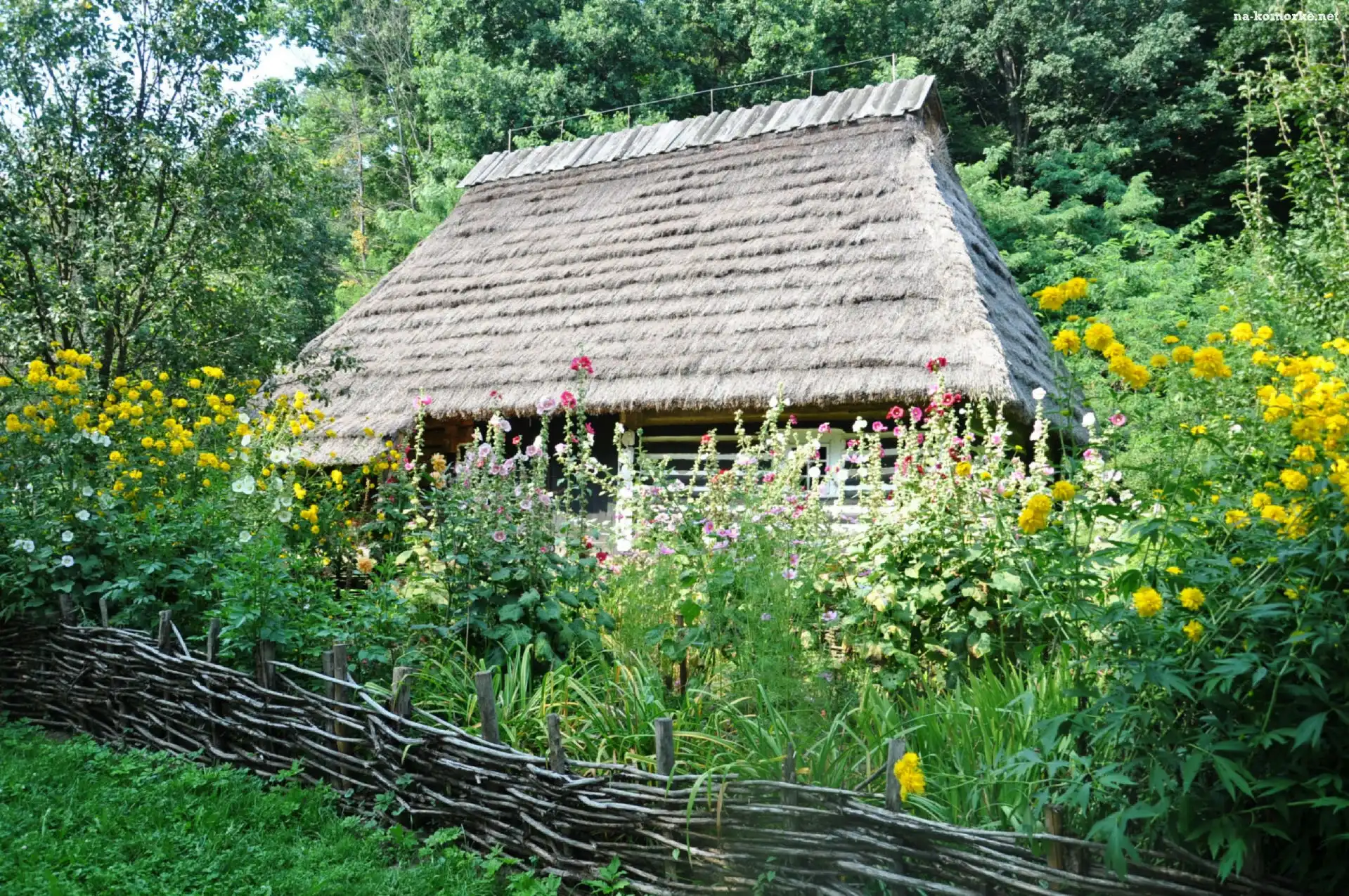 Płot, Domek, Drzewa, Kwiaty, Trawa