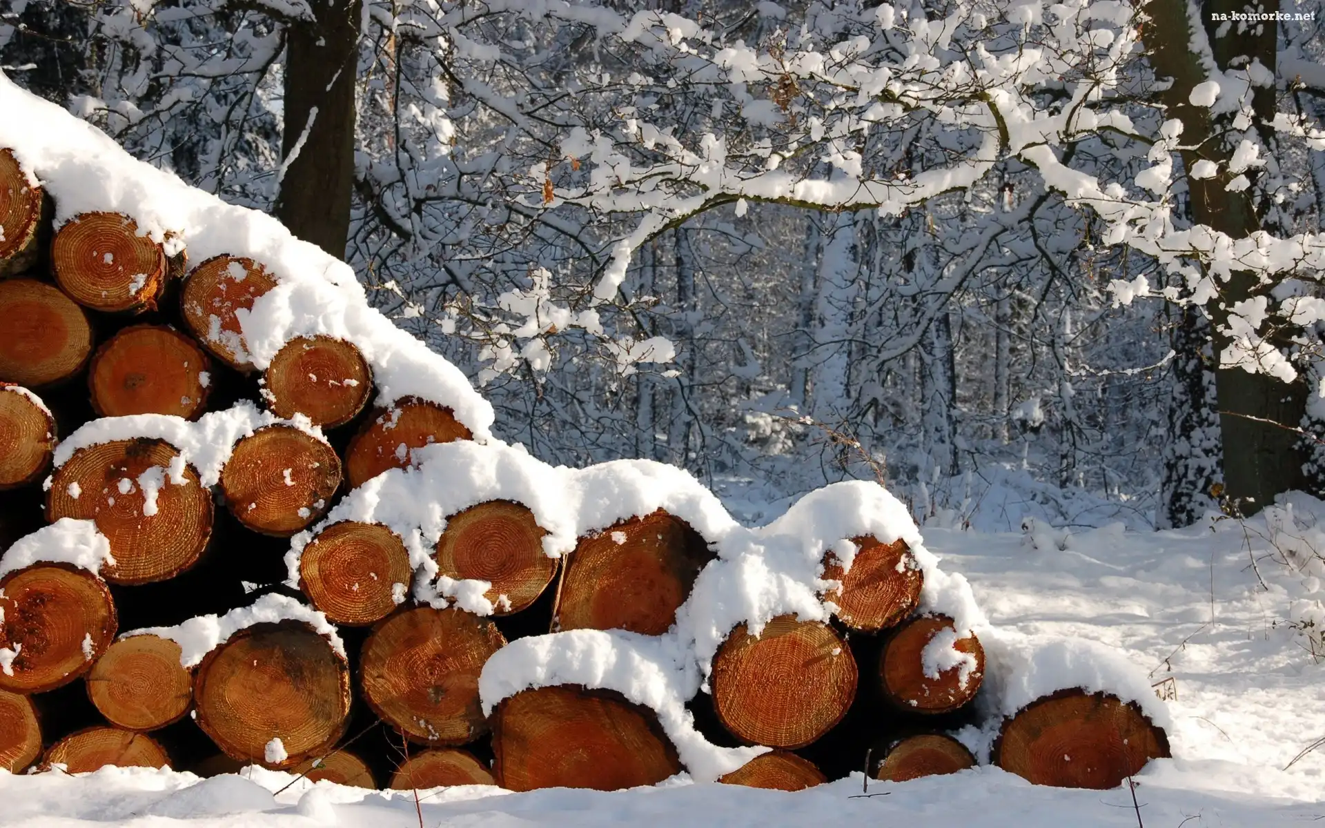 Śnieg, Zima, Las, Pocięte, Drewno