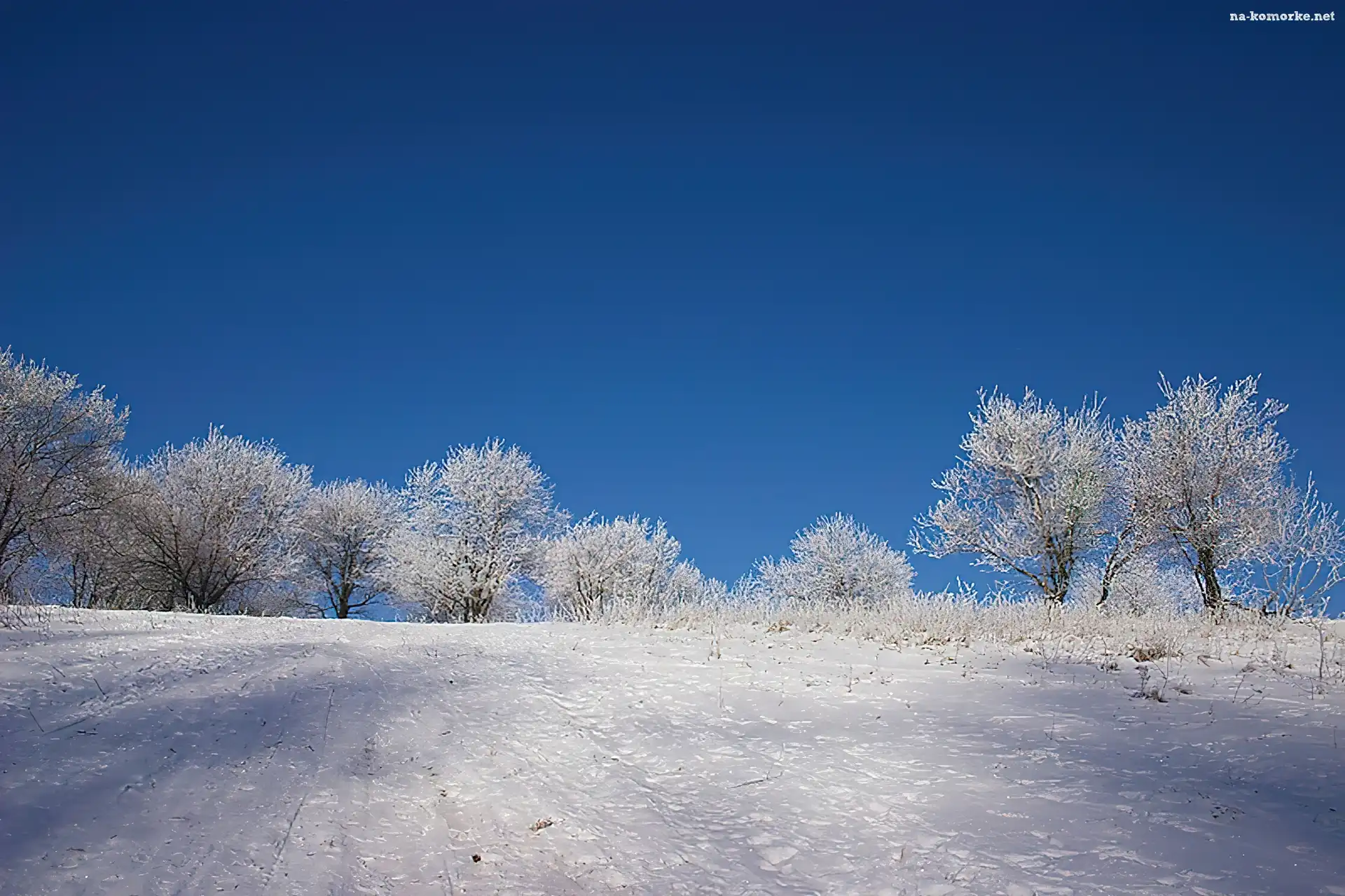 Zima, Pokrywa, Śnieżna
