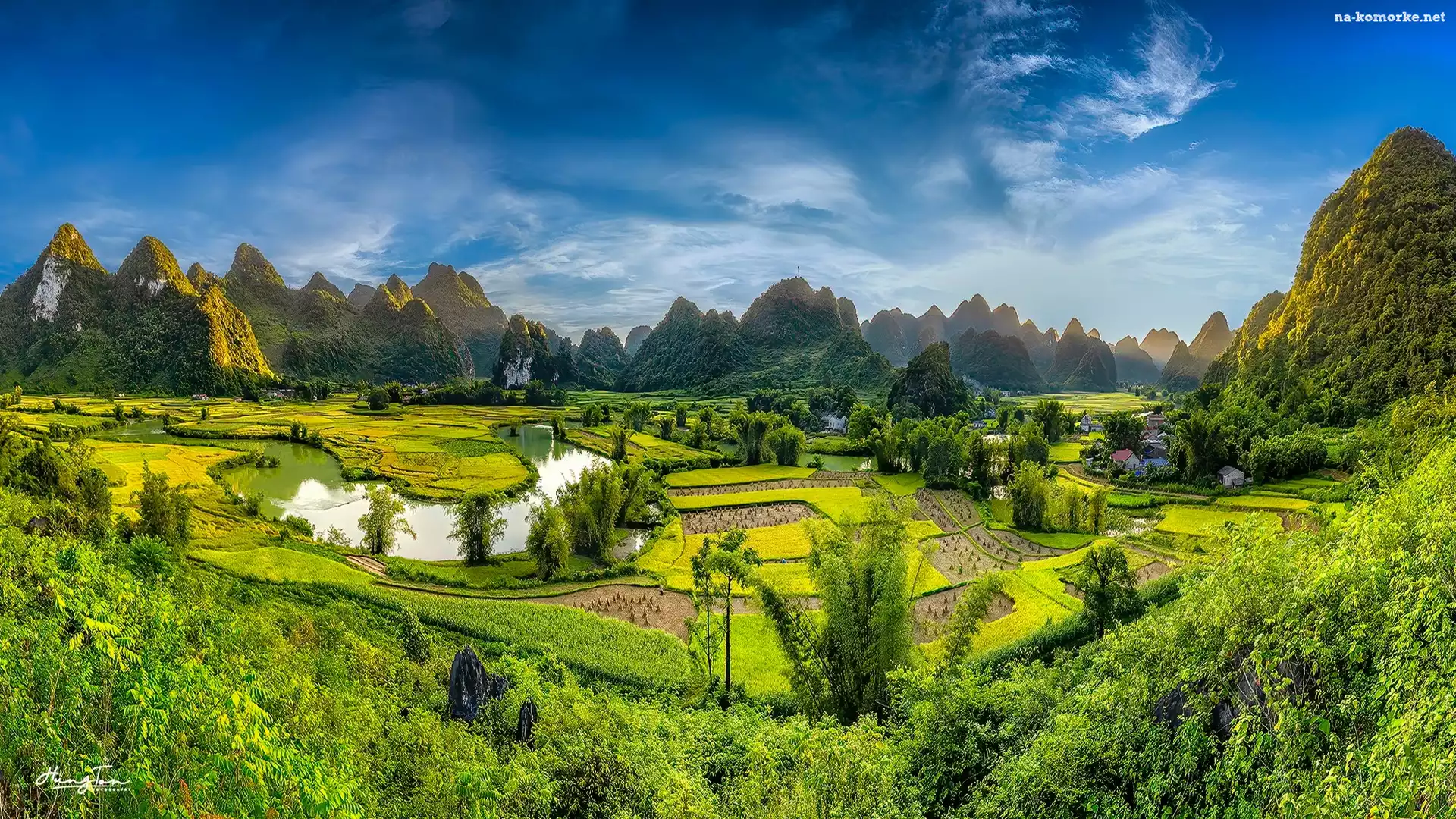 Pola, Ryżowe, Wietnam, Drzewa, Phong Nam, Góry, Prowincja Cao Bang