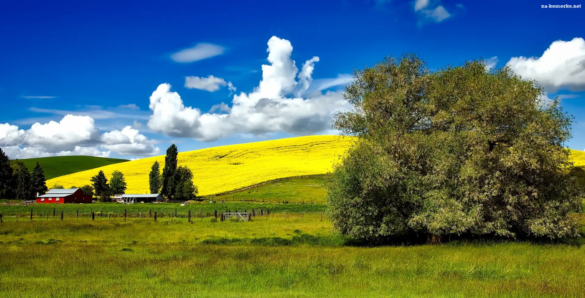 Pola, Idaho, USA, Wzgórza, Farma, Łąki