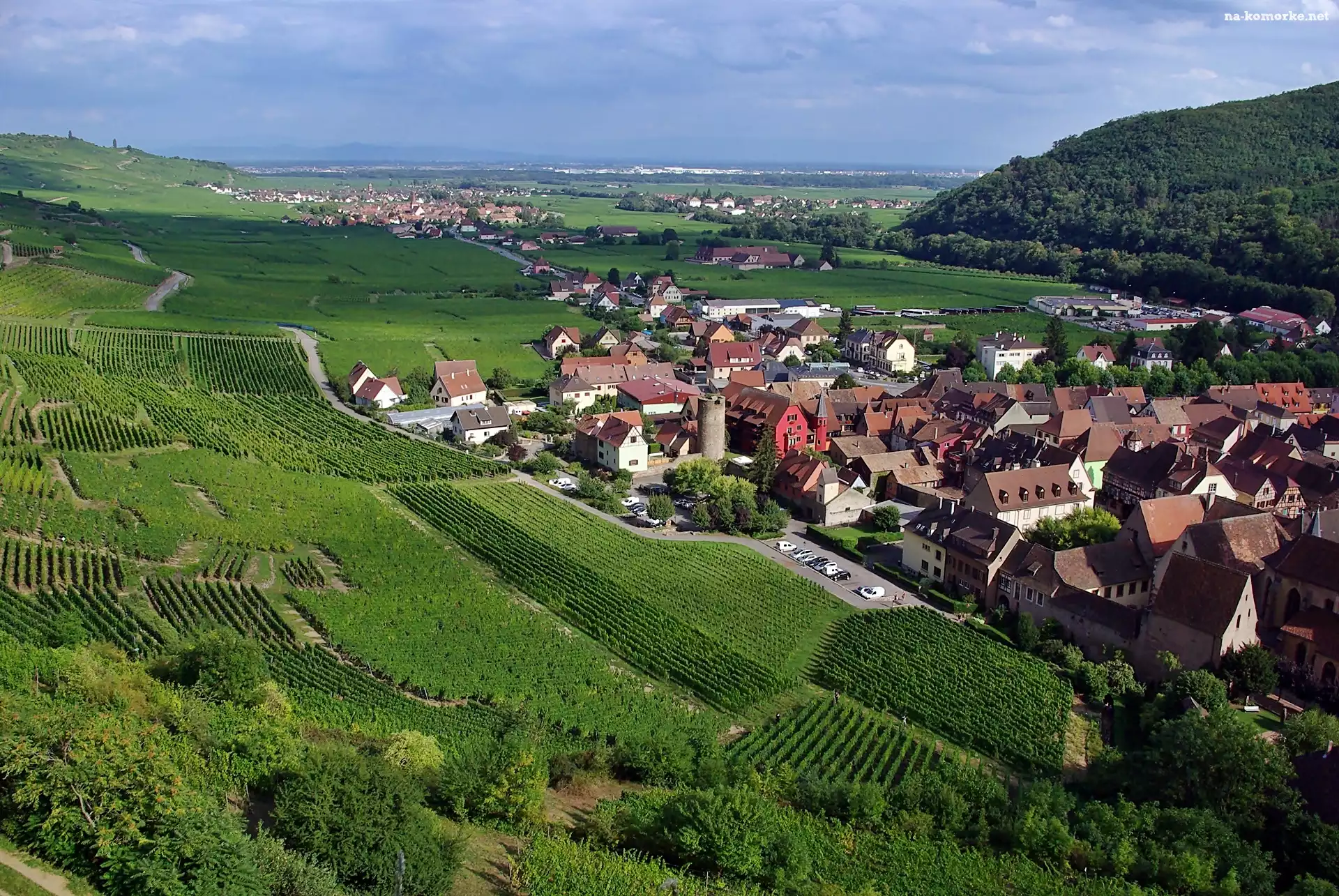 Pola, Kayserberg, Panorama, Las, Wzgórza, Łąki