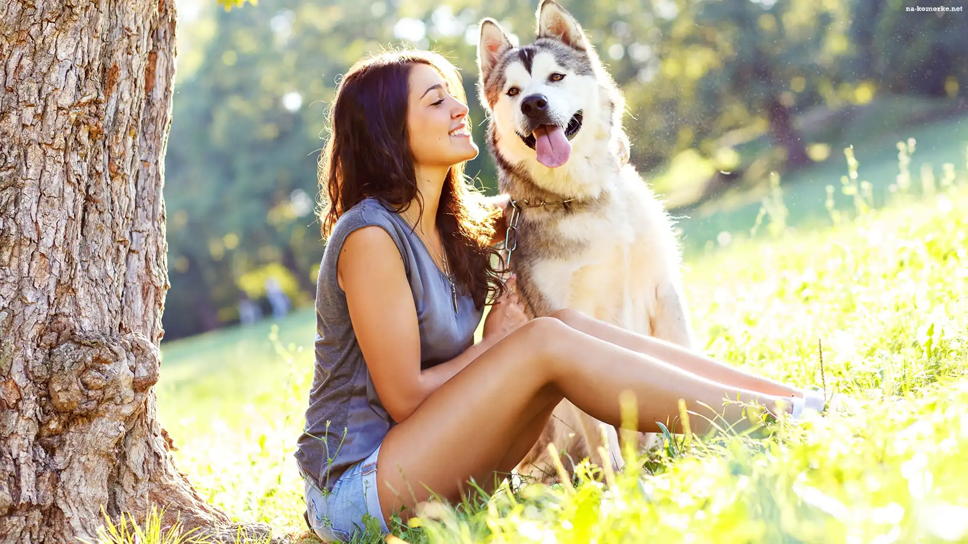 Polana, Kobieta, Pies, Siberian husky, Drzewo
