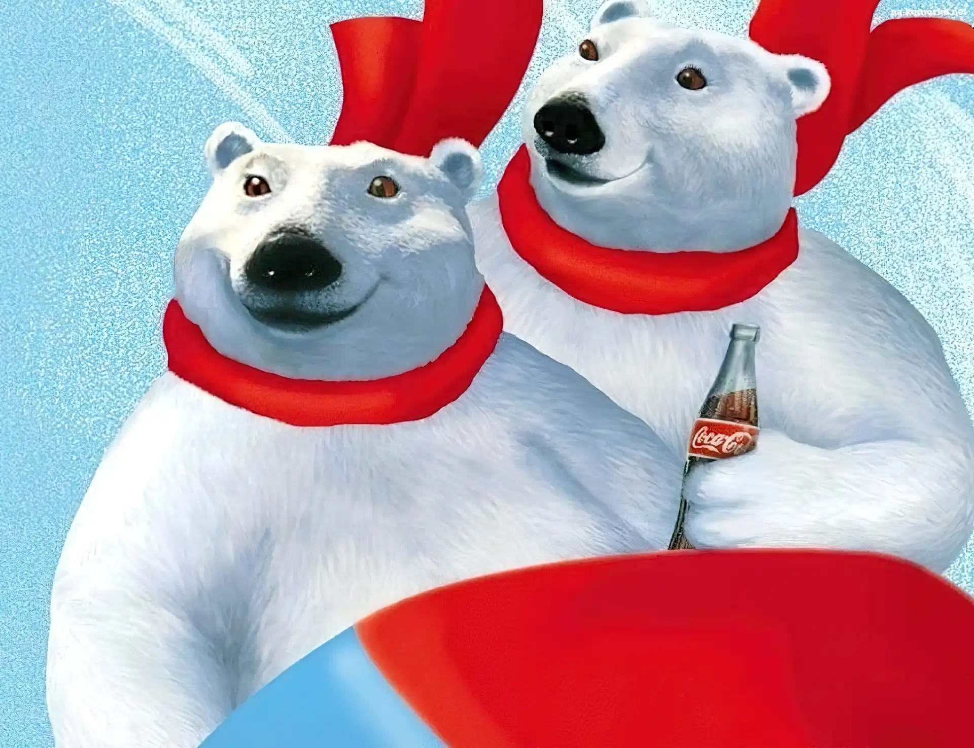Polarne, Butelka, Coli, Dwa, Niedźwiadki