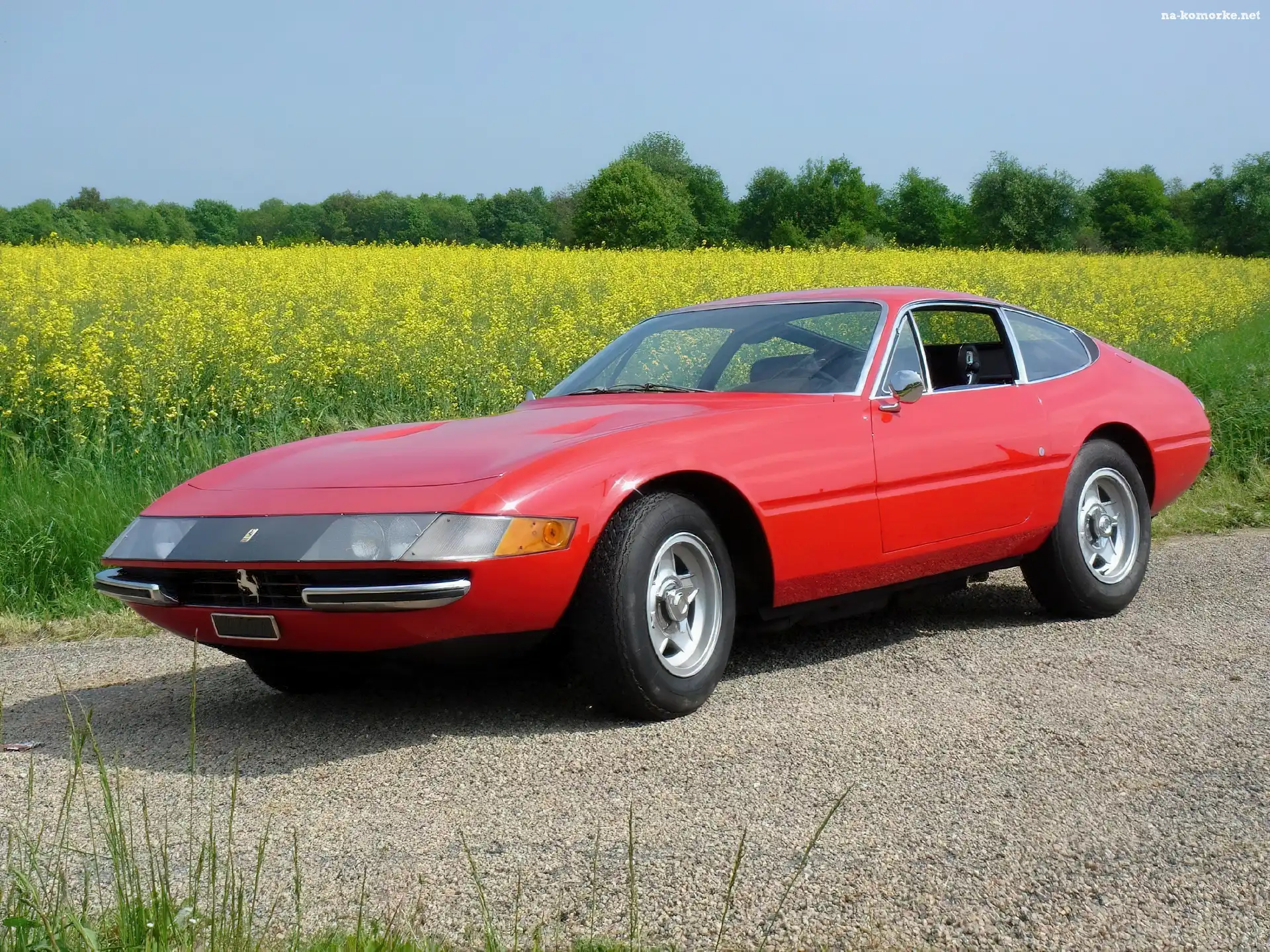 Czerwone, Bok, Ferrari Daytona, Lewy, Pole