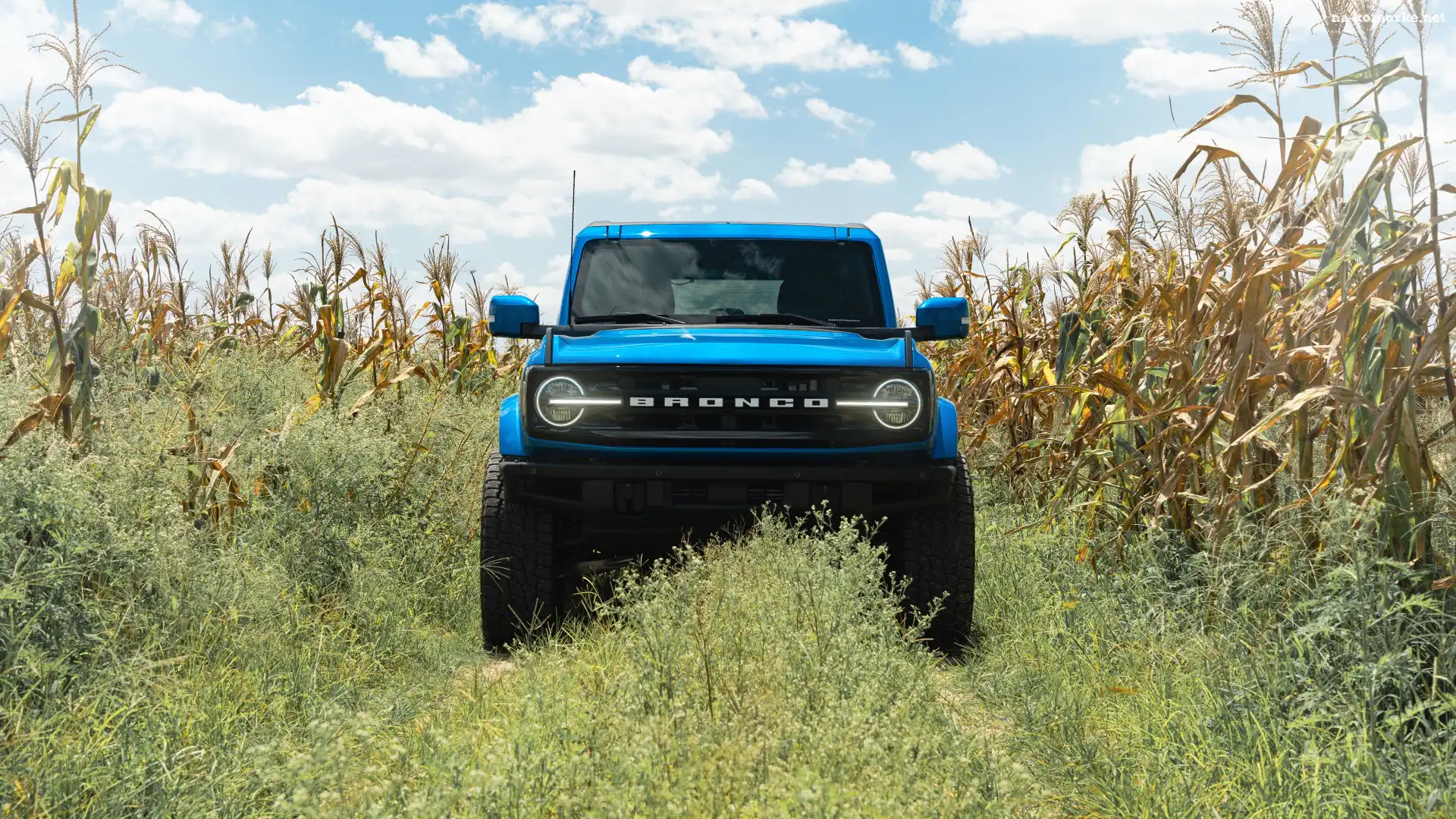 Ford Bronco, Kukurydza, Pole