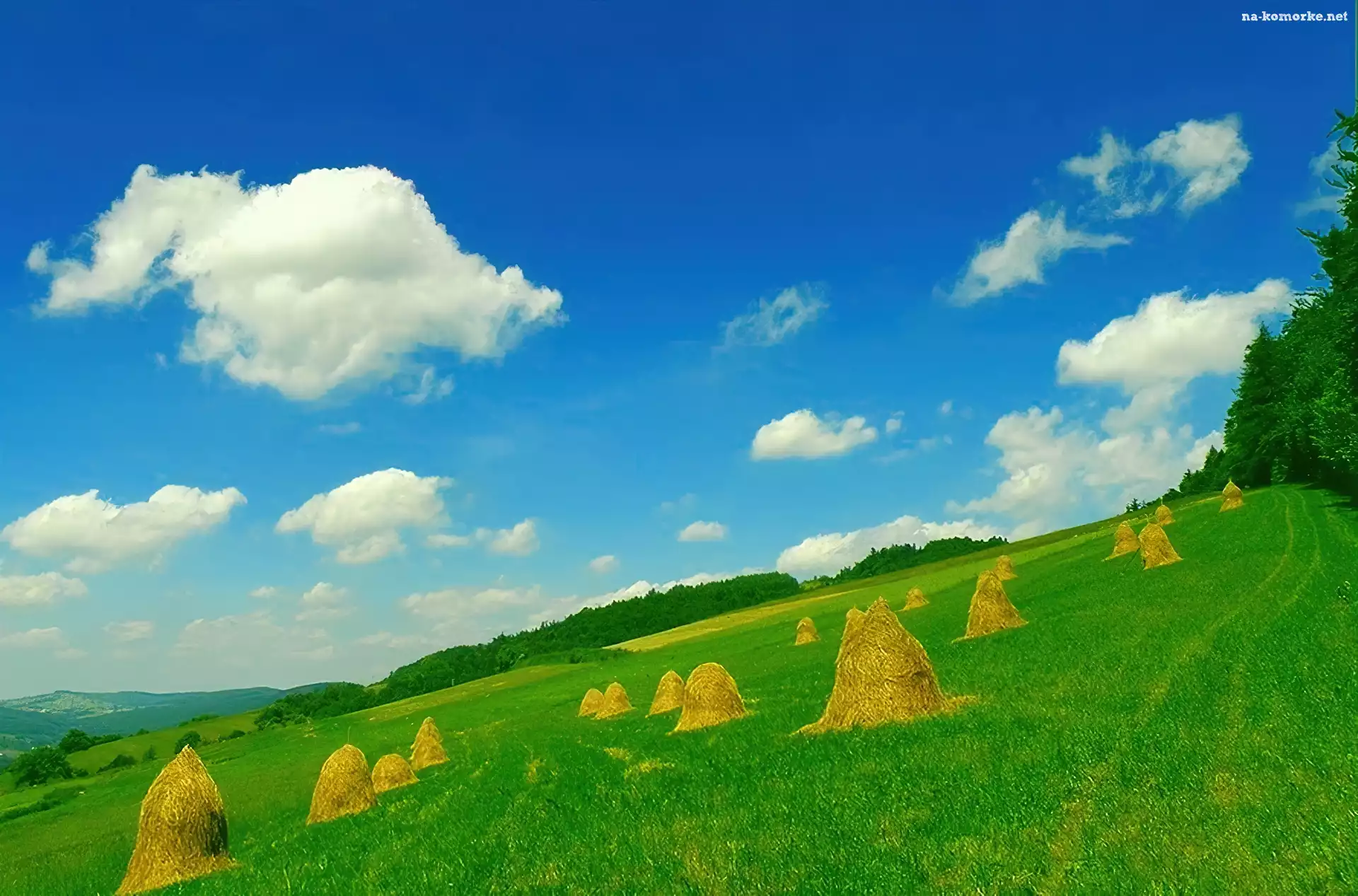Pole, Snopki