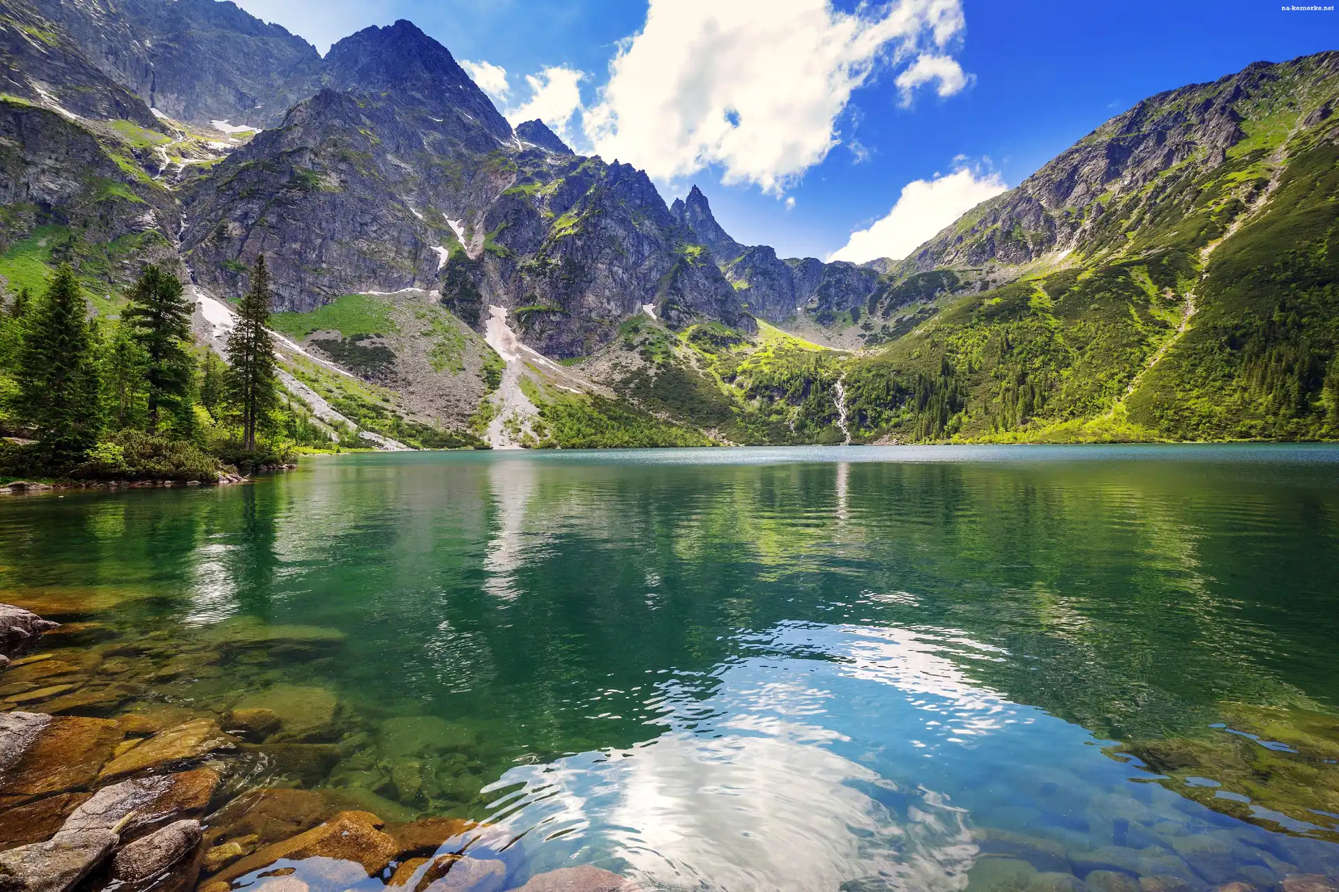 Drzewa, Polska, Góry Tatry, Jezioro Morskie Oko, Lato