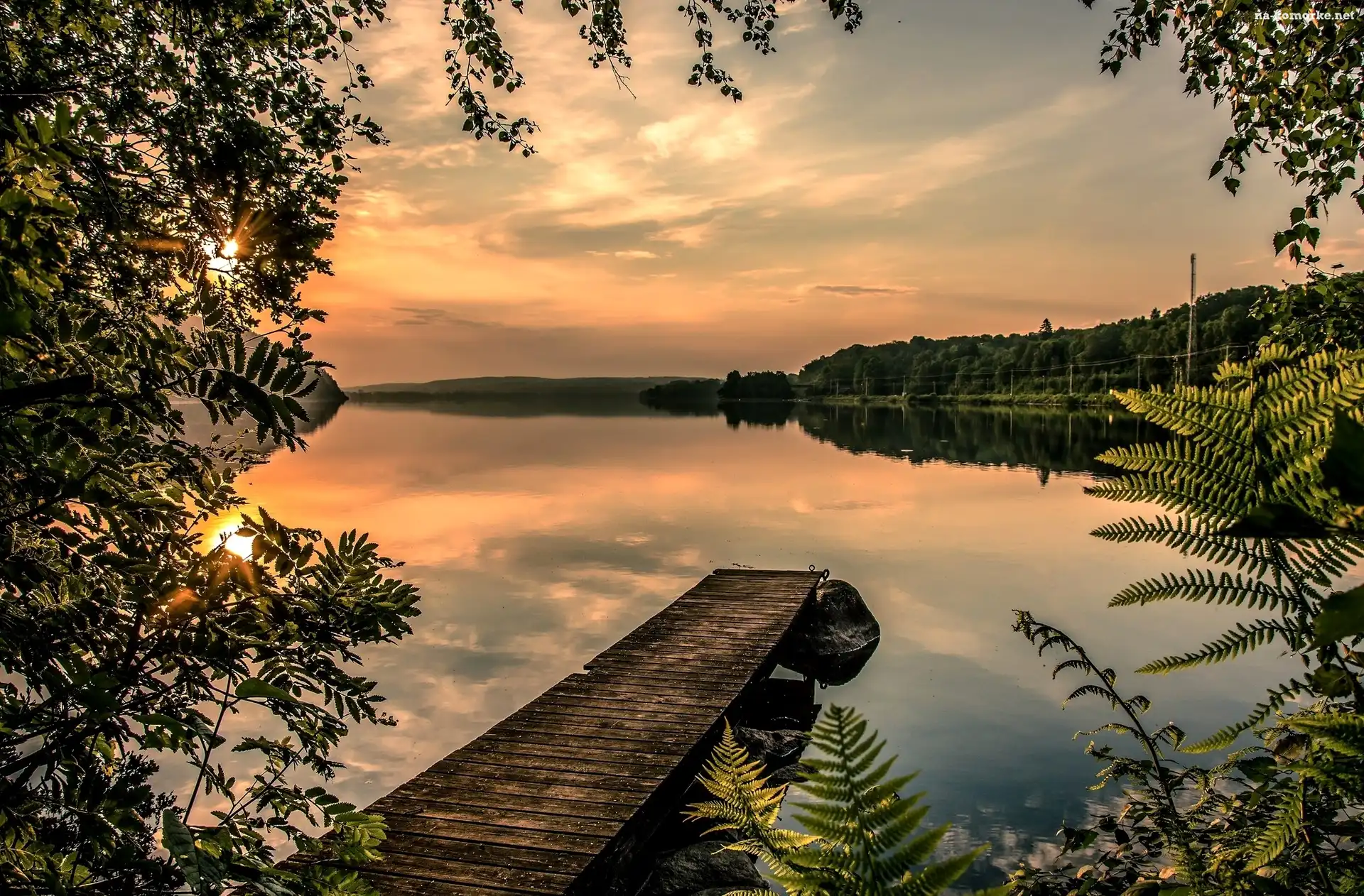Pomost, Drzewa, Jezioro, Słońca, Roślinność, Wschód