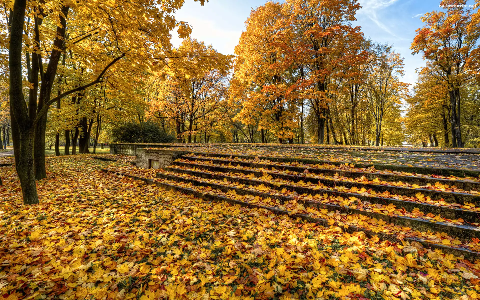Pożółkłe, Drzewa, Park, Jesień, Schody, Liście