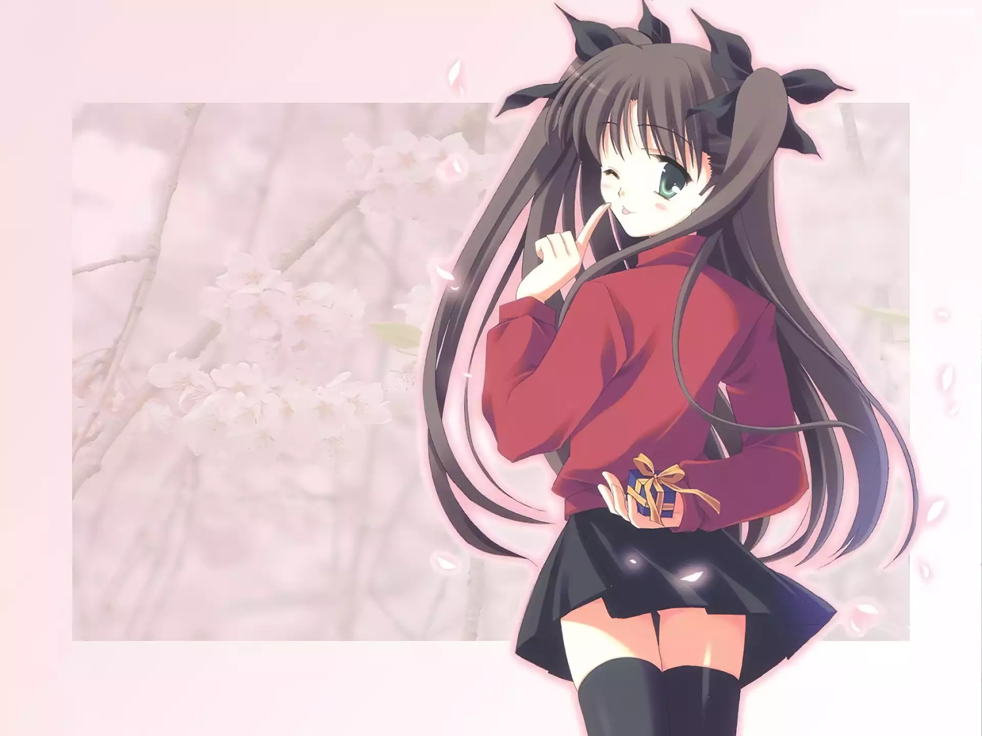 prezent, dziewczyna, Fate Stay Night