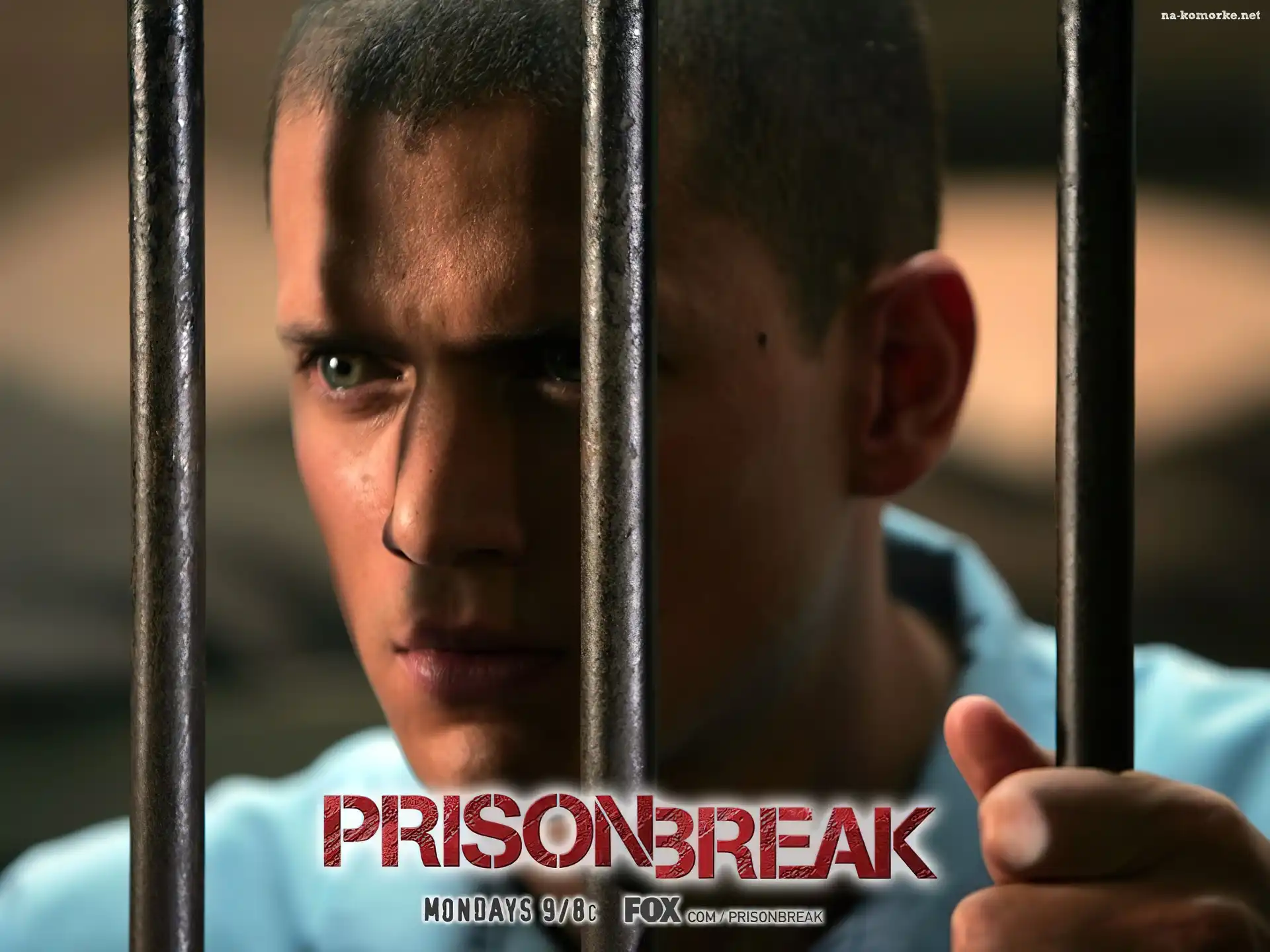 Prison Break, Wentworth Miller, kraty