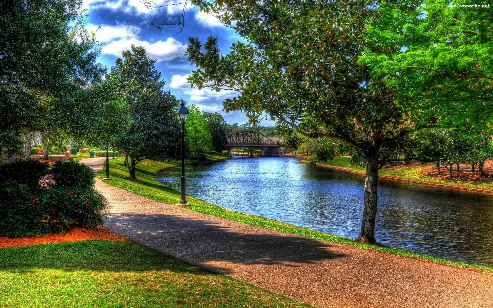 Park, Przebijające, Światło, Aleja, Rzeka, Most, Obłoki