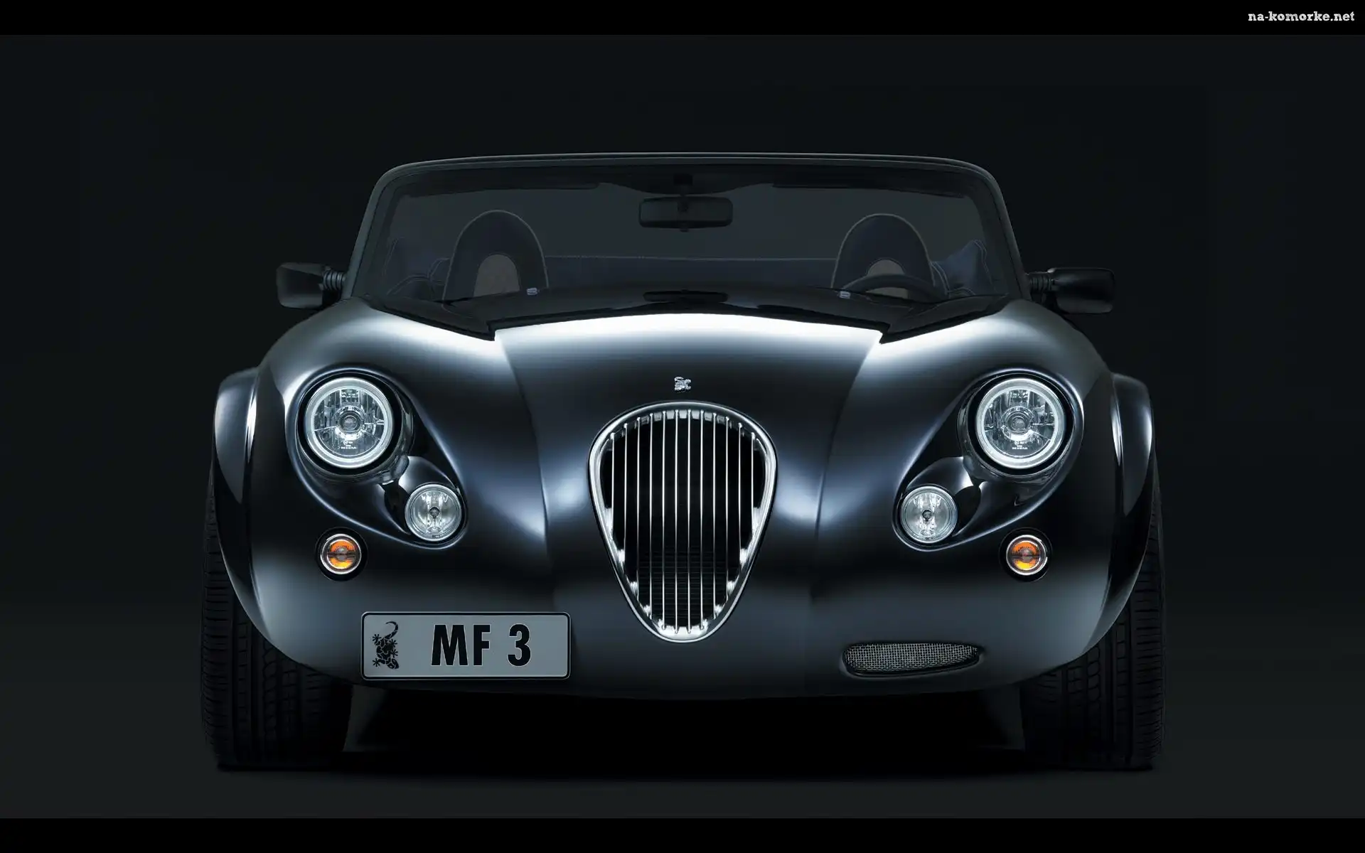 Przód, Wiesmann MF3, Grill