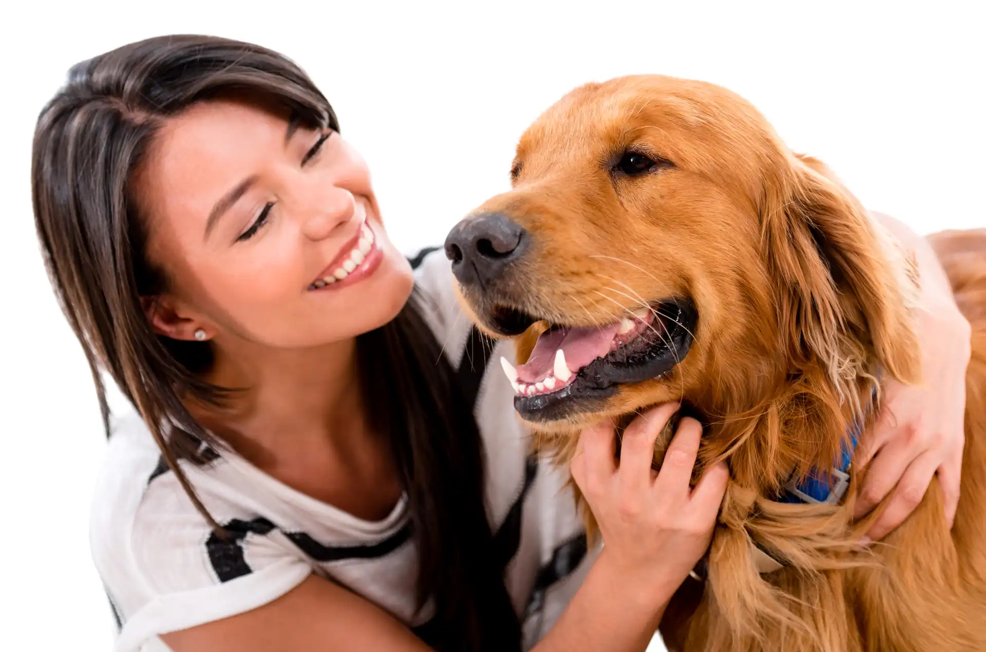 Przyjaźń, Uśmiechnięta, Dziewczyna, Pies, Golden Retriever