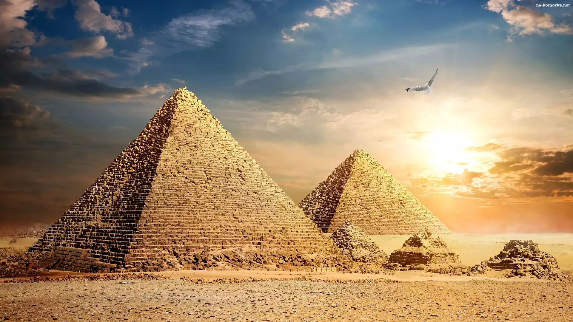 Ptak, Egipt, Giza, Piramidy, Piramida Cheopsa