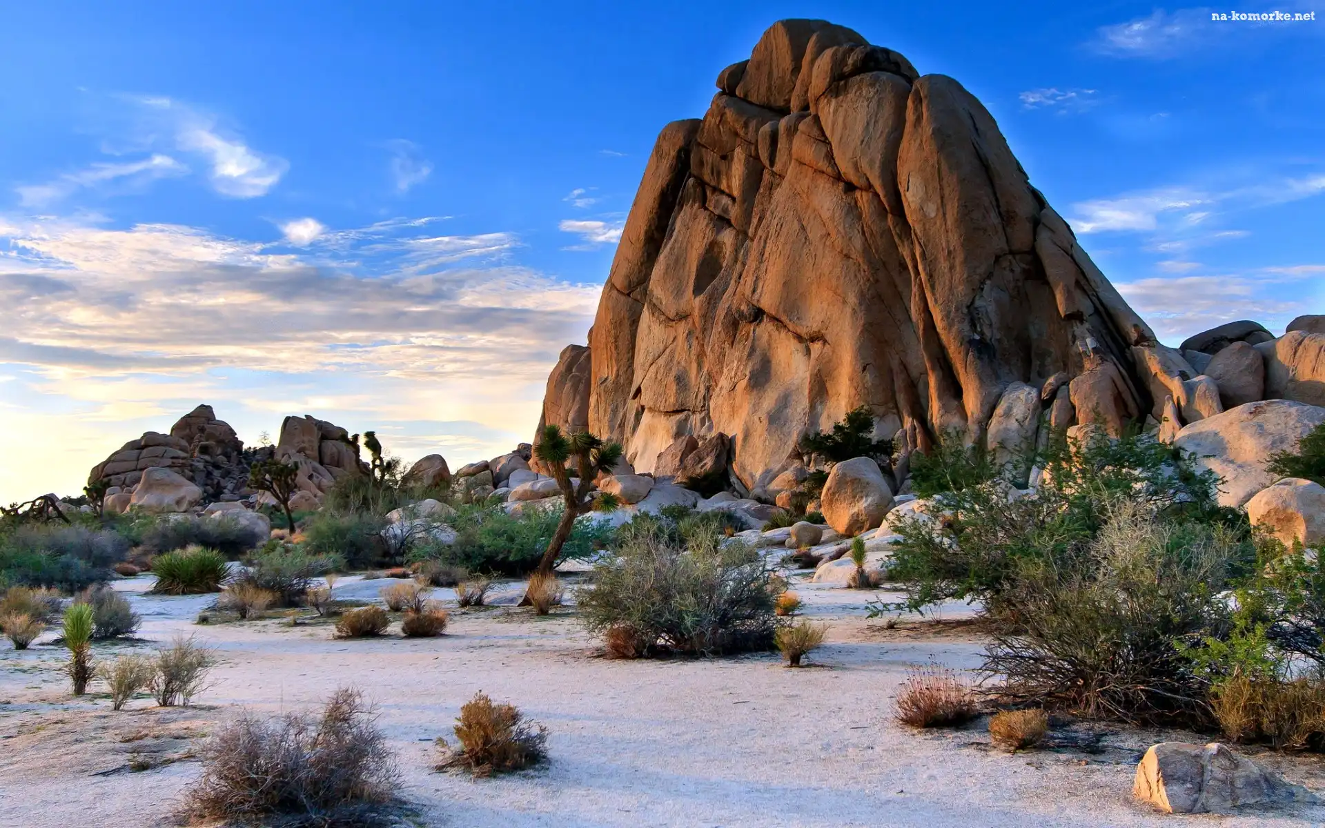 Skała, Stany Zjednoczone, Kalifornia, Park Narodowy Joshua Tree, Pustynia
