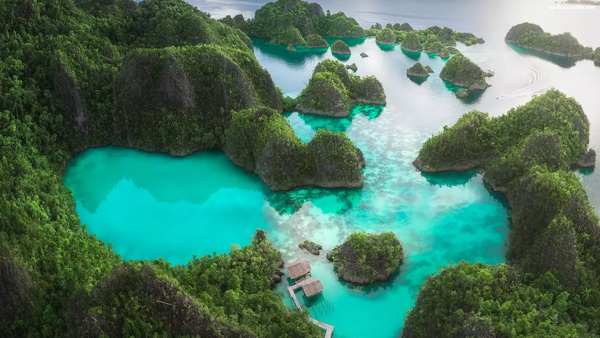 Indonezja, Wyspy, Morze, Raja Ampat, Roślinność